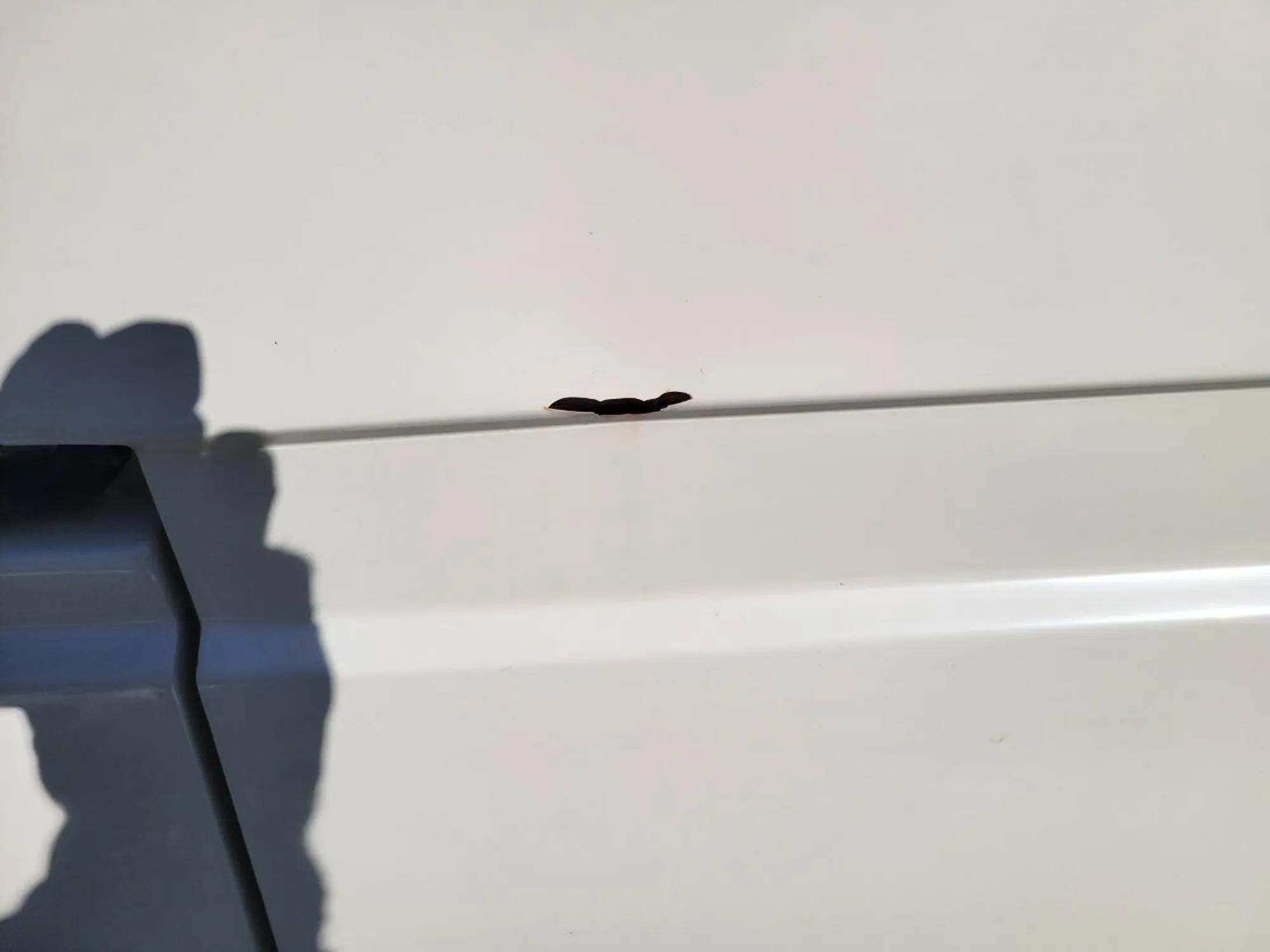 1987 Volkswagen Vanagon Westfalia Weekender