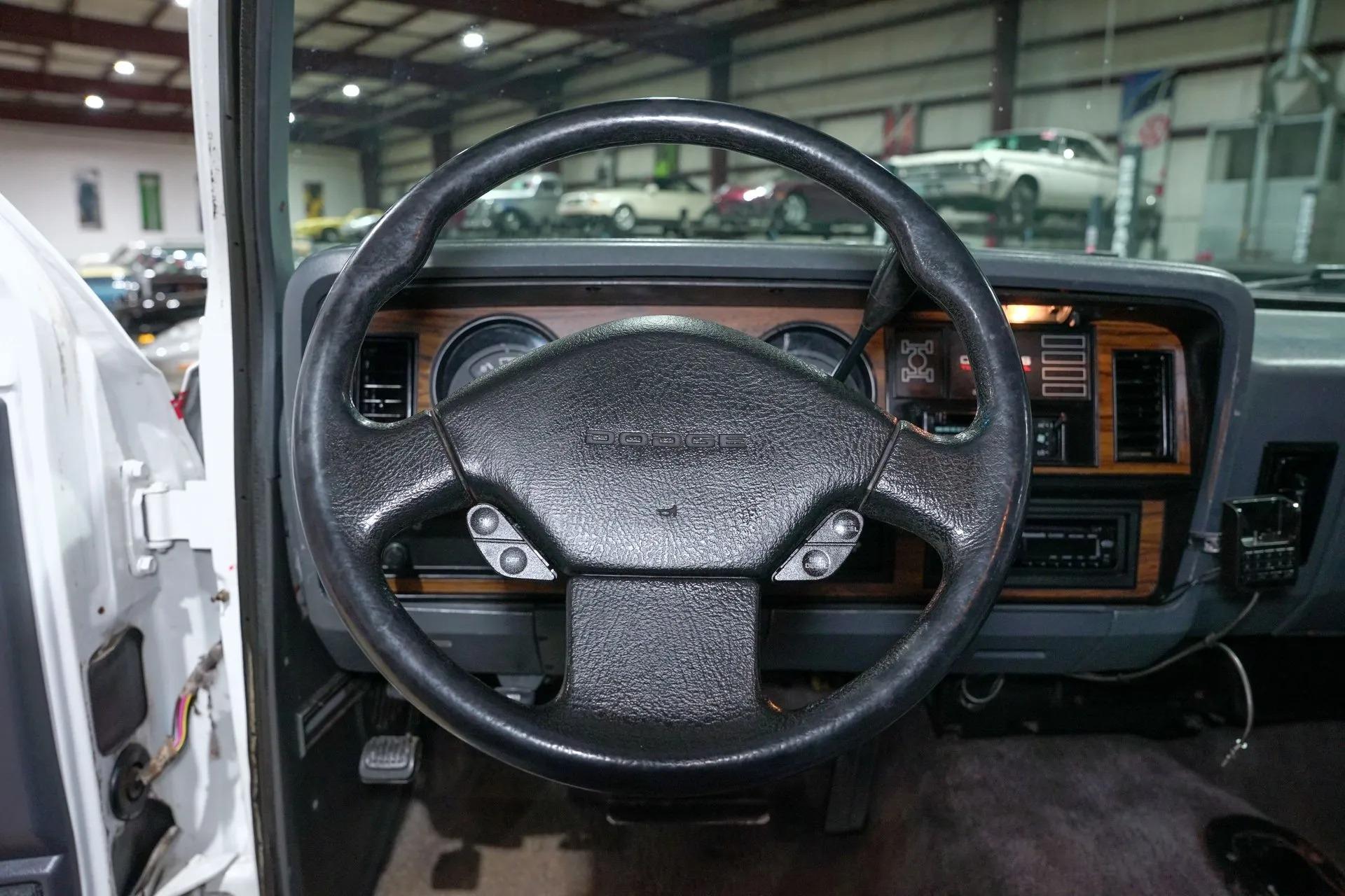 1992 Dodge Ram W250 LE