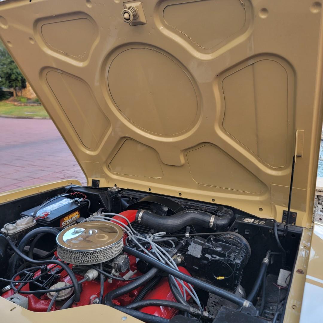 1975 International Scout II