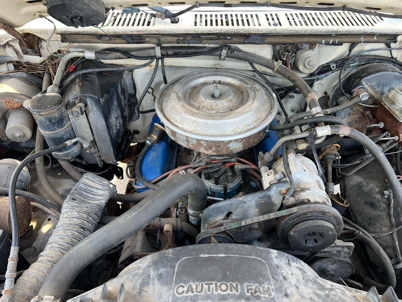 1983 Ford Bronco XLT 4×4