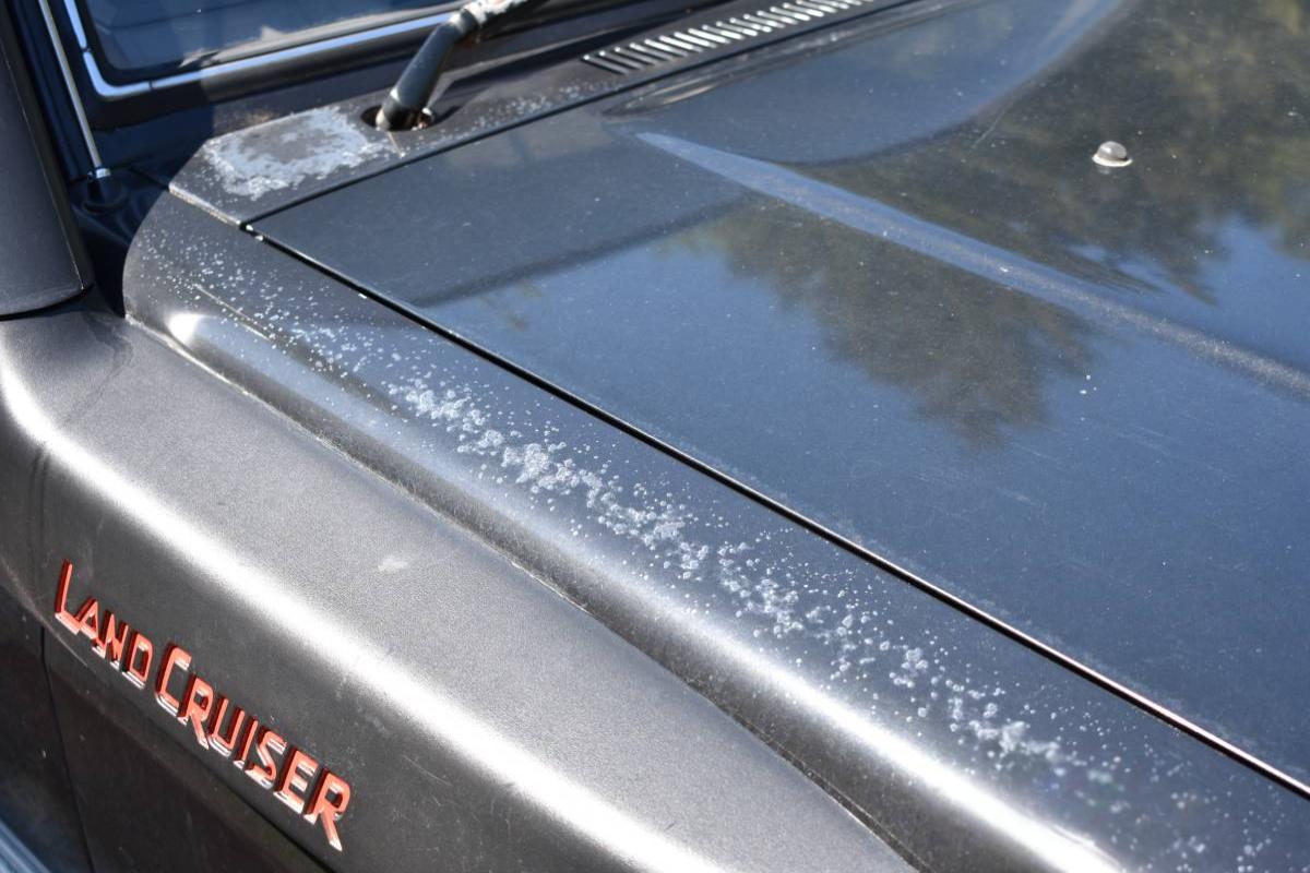 1992 Toyota Land Cruiser