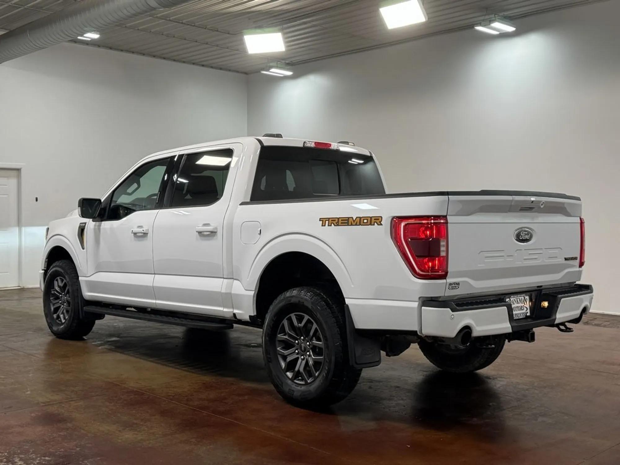 2023 Ford F-150 Tremor - 4
