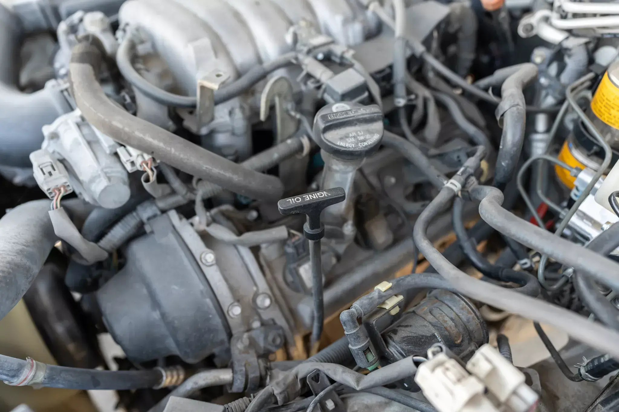 Modified 2000 Toyota Land Cruiser