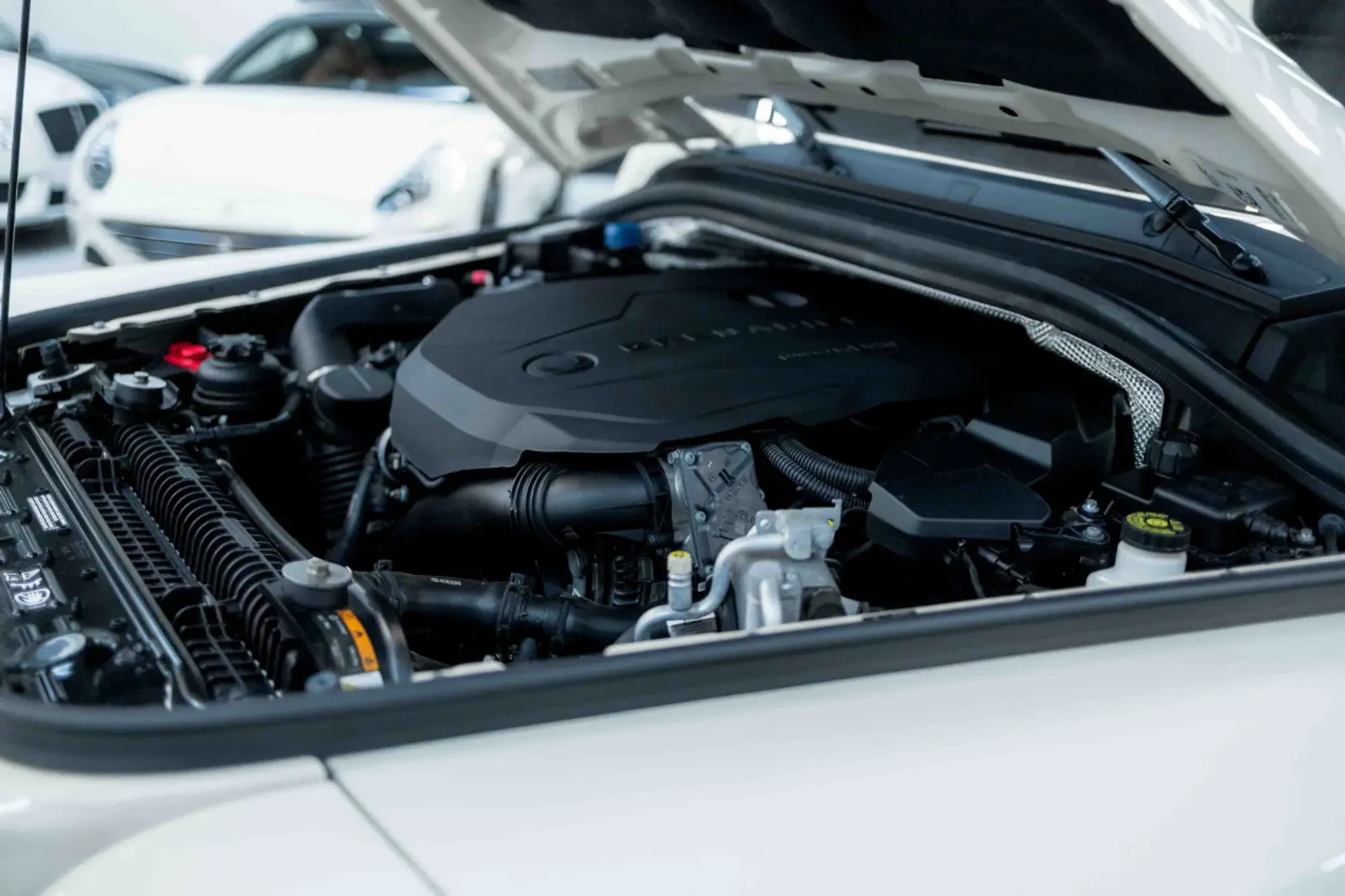 2024 INEOS Grenadier Station Wagon