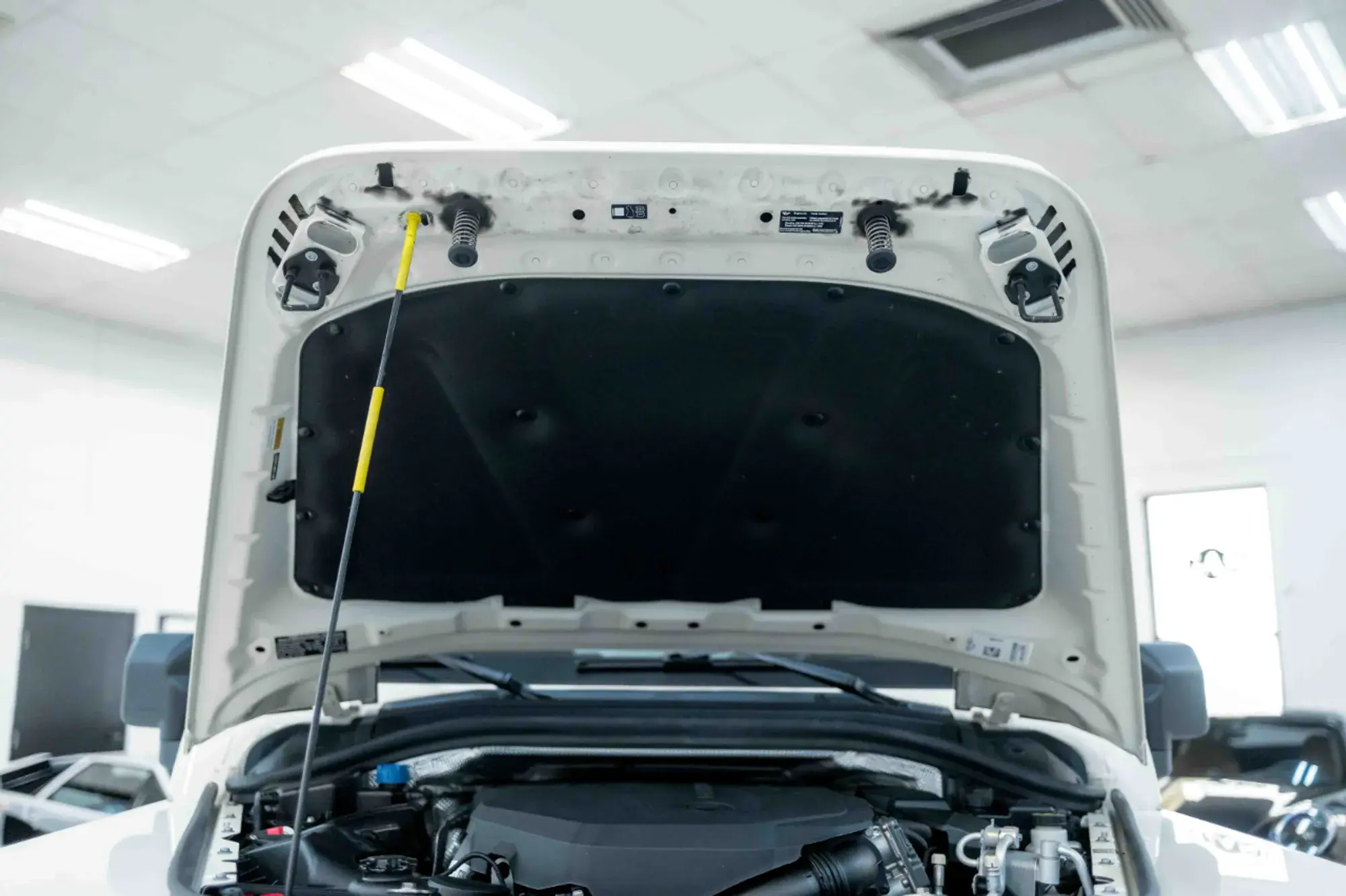 2024 INEOS Grenadier Station Wagon