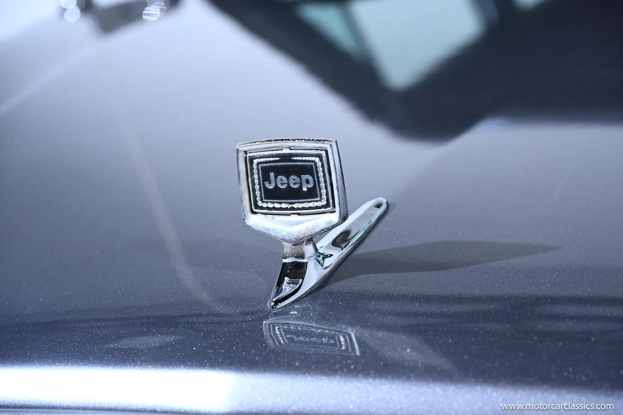 1991 Jeep Grand Wagoneer