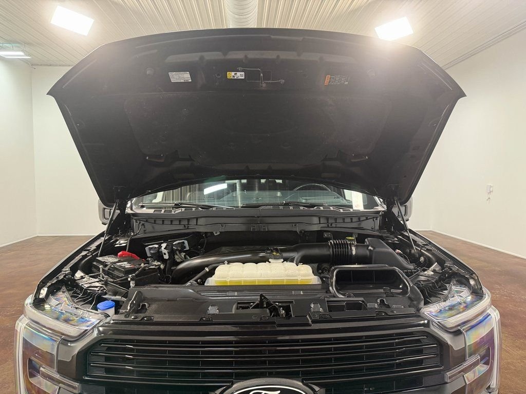 2024 Ford F-150 Platinum