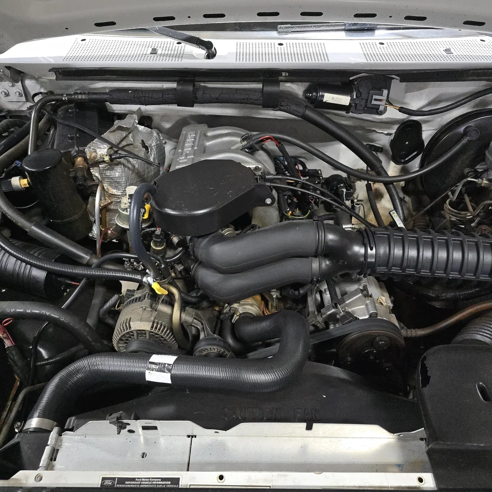 1995 Ford F-150 Eddie Bauer