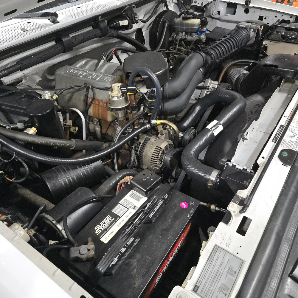 1995 Ford F-150 Eddie Bauer