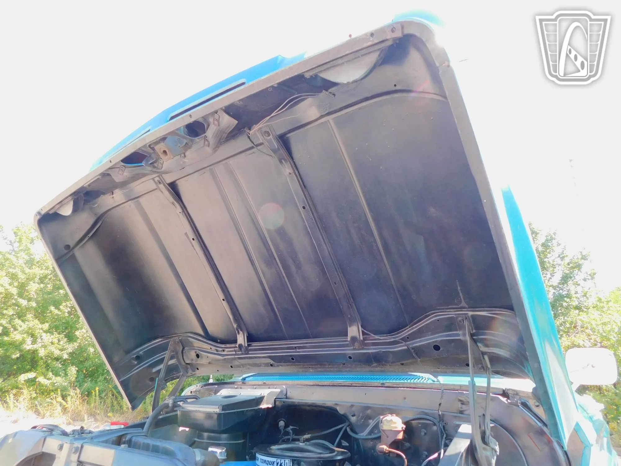 1965 Chevrolet C1500