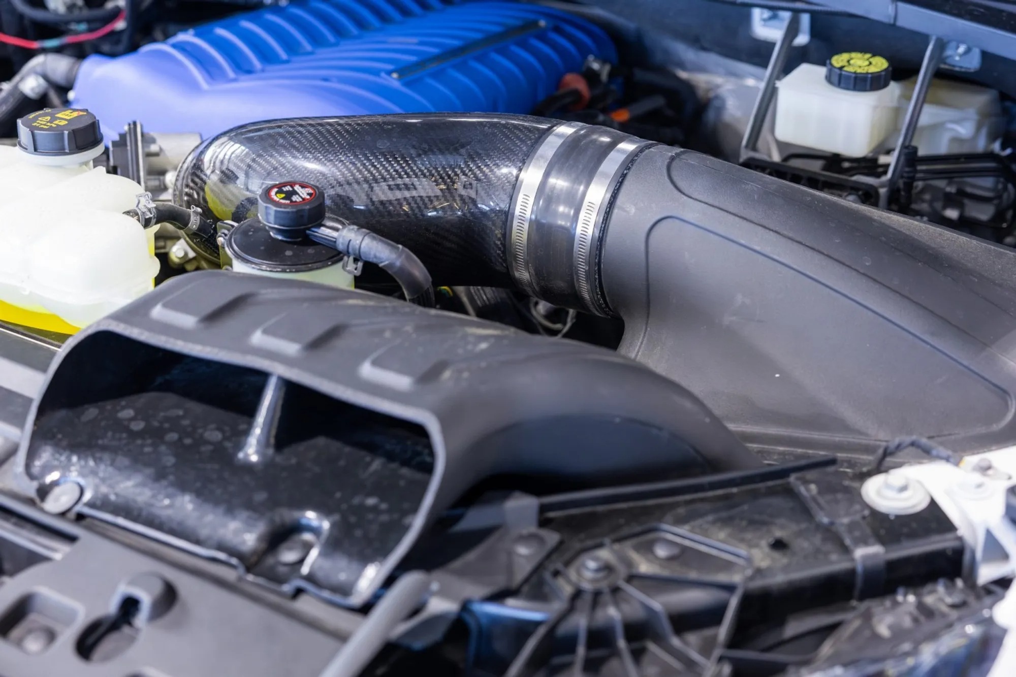 2024 Ford F-150 Shelby