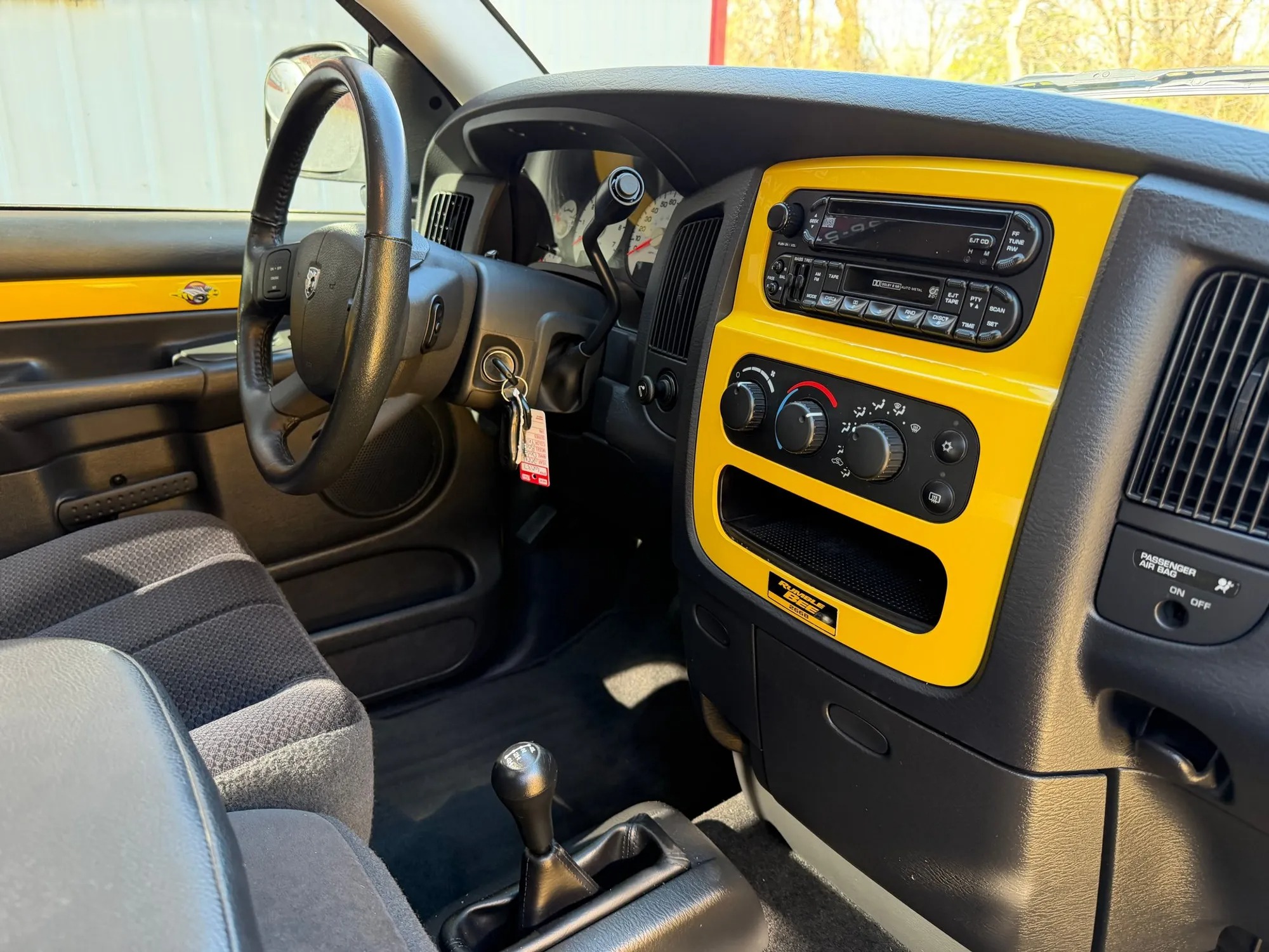 2004 Dodge Ram 1500 Rumble Bee