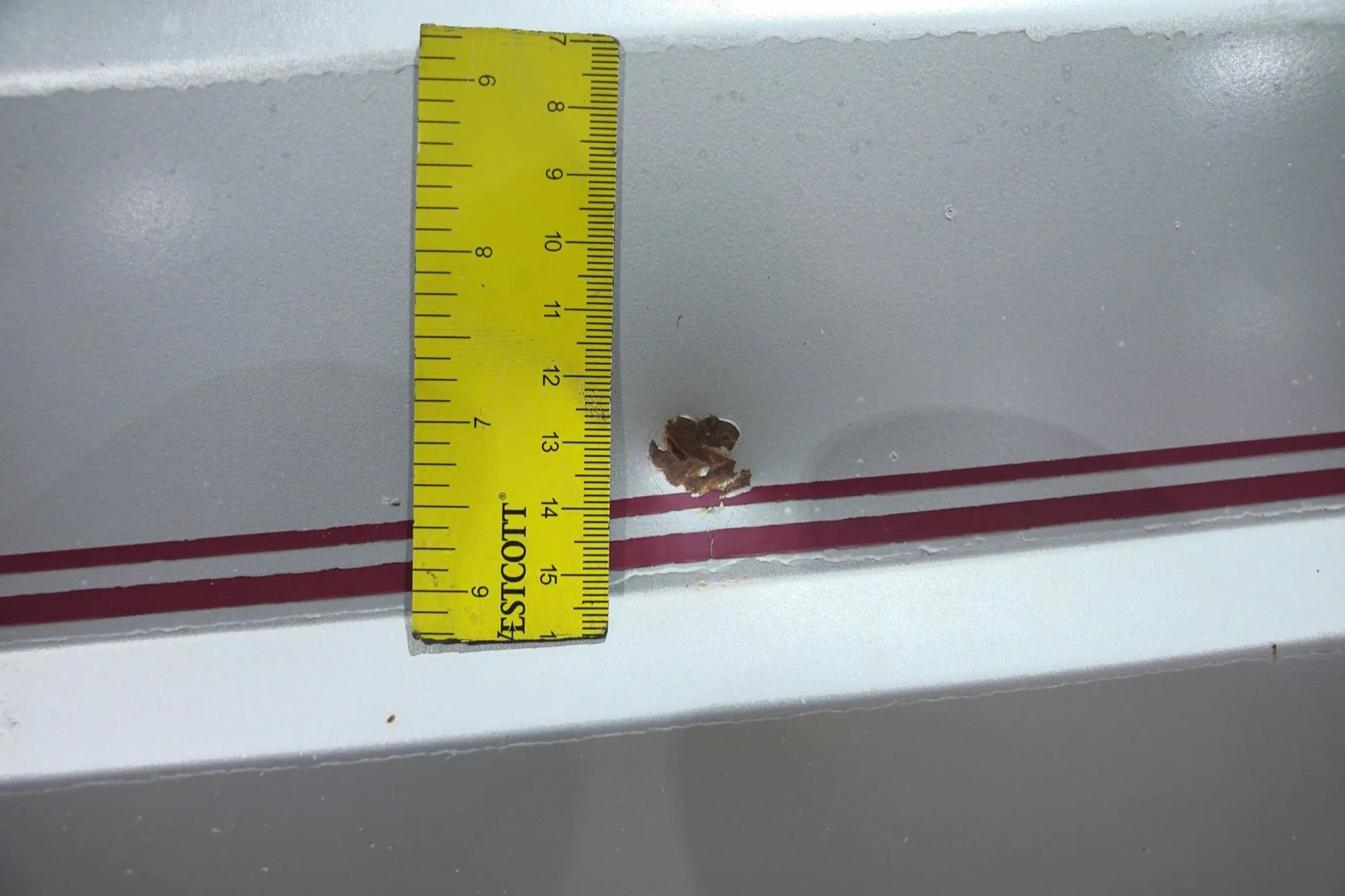 1989 Jeep Cherokee Pioneer