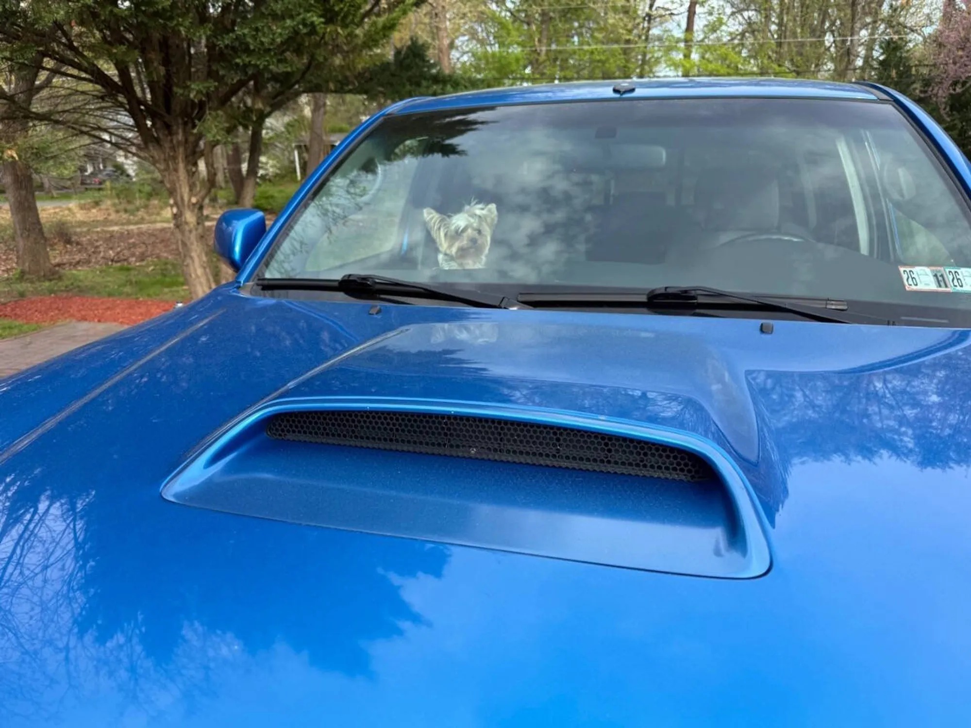 2007 Toyota Tacoma V6