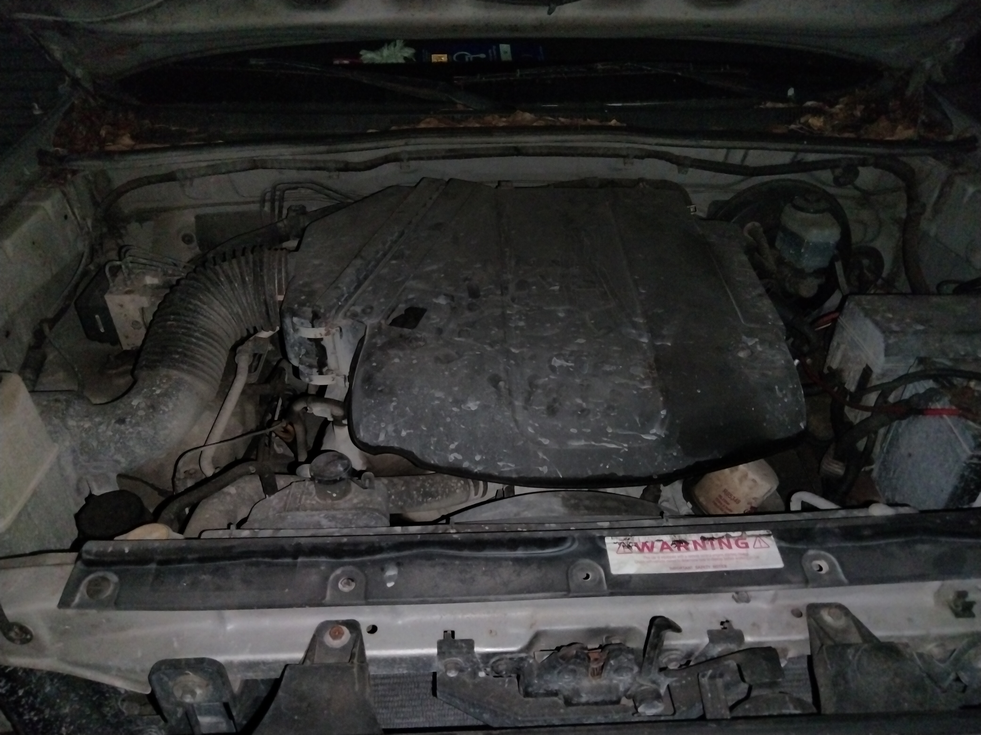 2008 Toyota Tacoma - 4