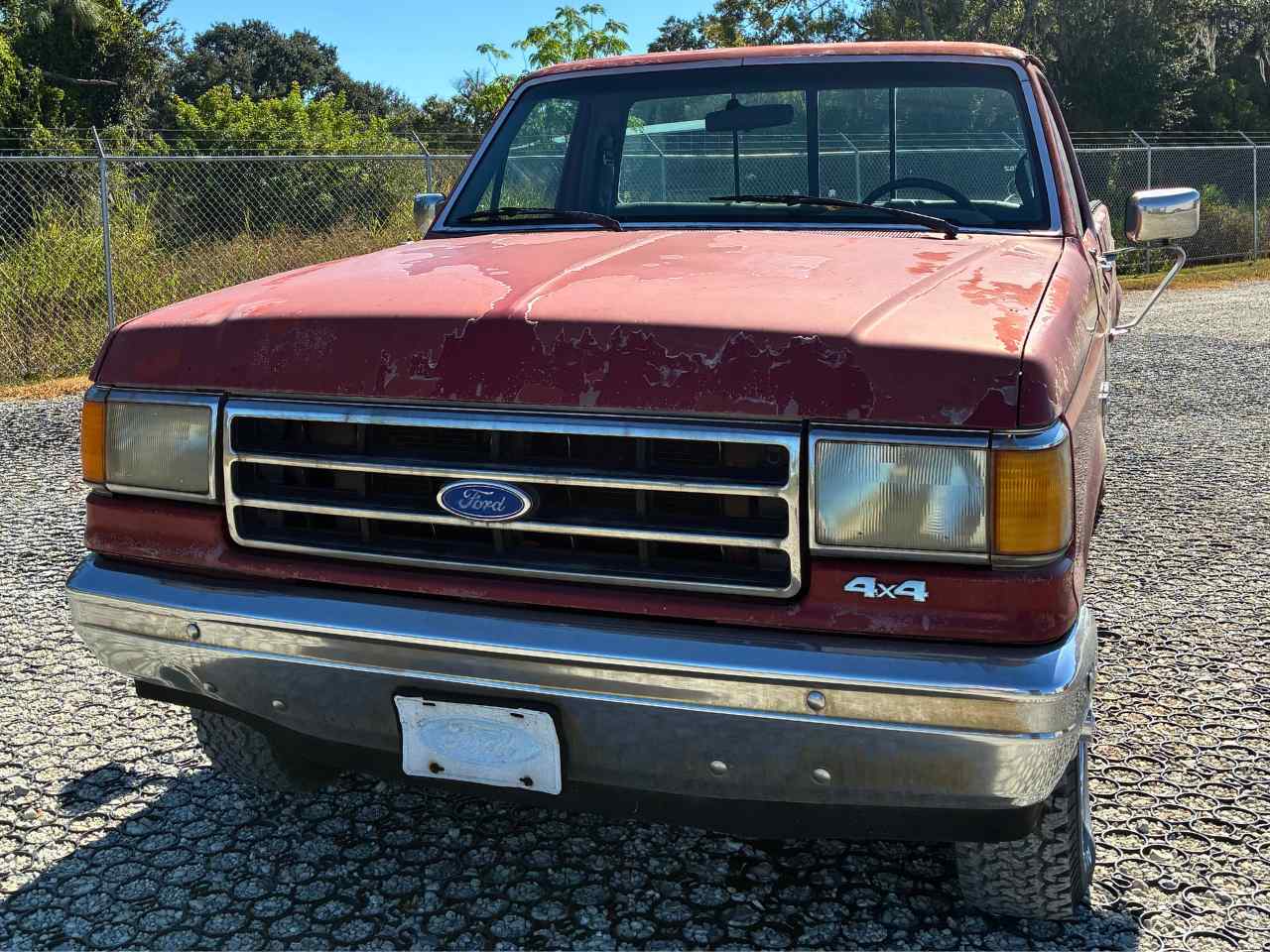 1989 Ford F-150 Custom - 5