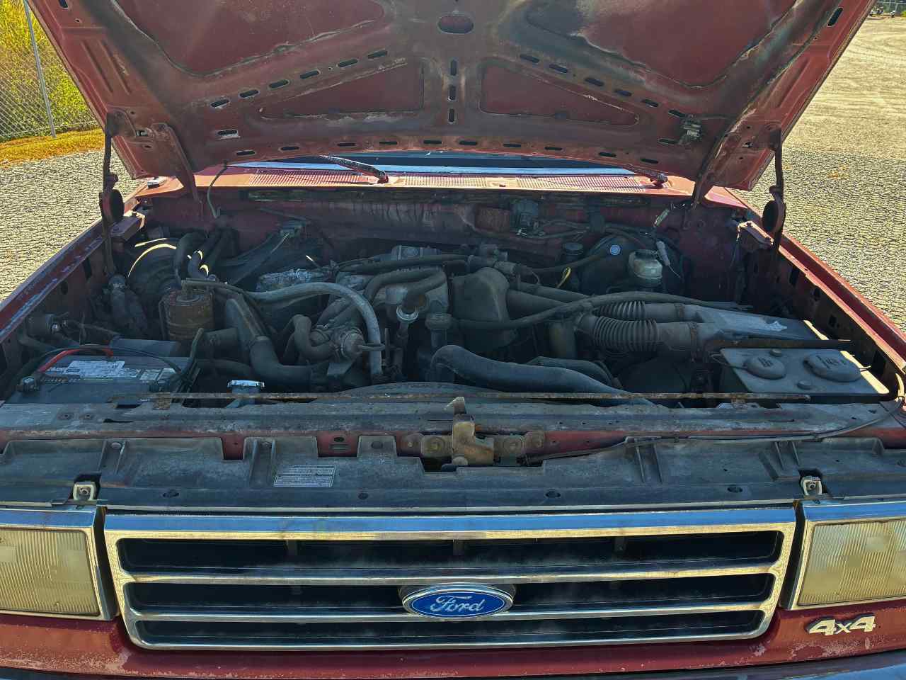 1989 Ford F-150 Custom