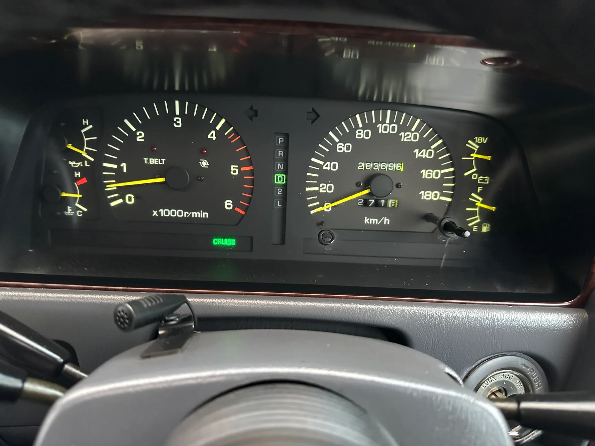 1995 Toyota Land Cruiser Active Vacation