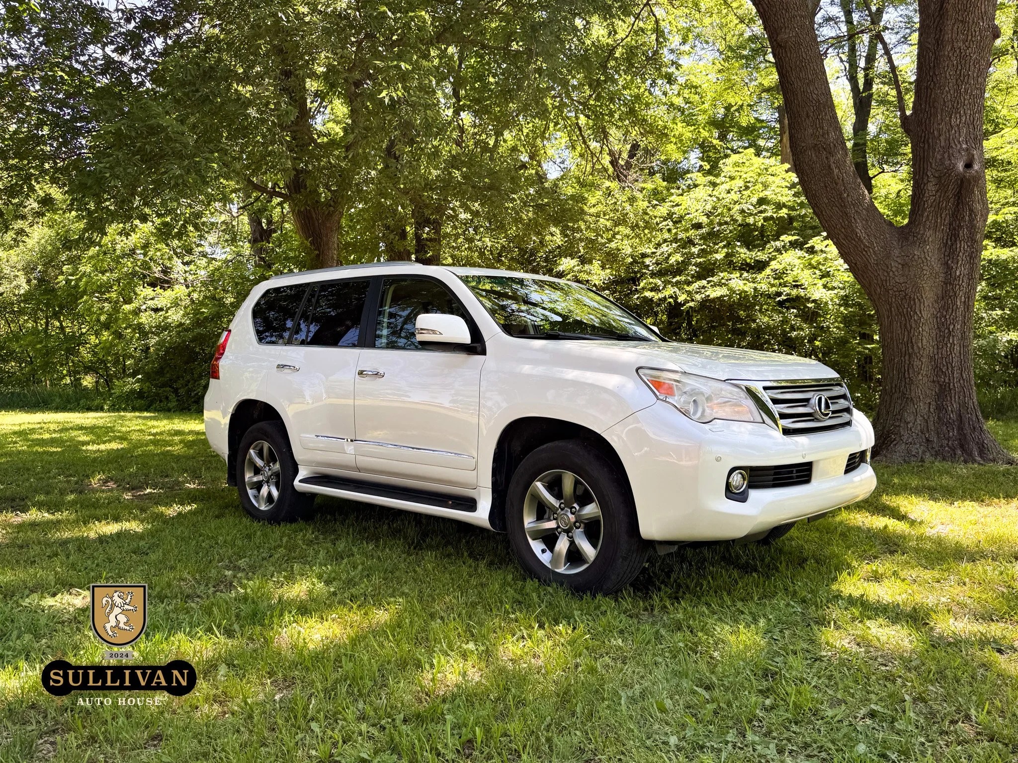 2012 Lexus GX 460