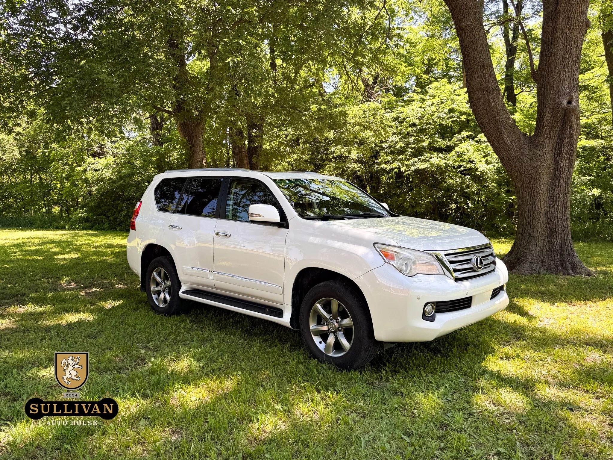 2012 Lexus GX 460