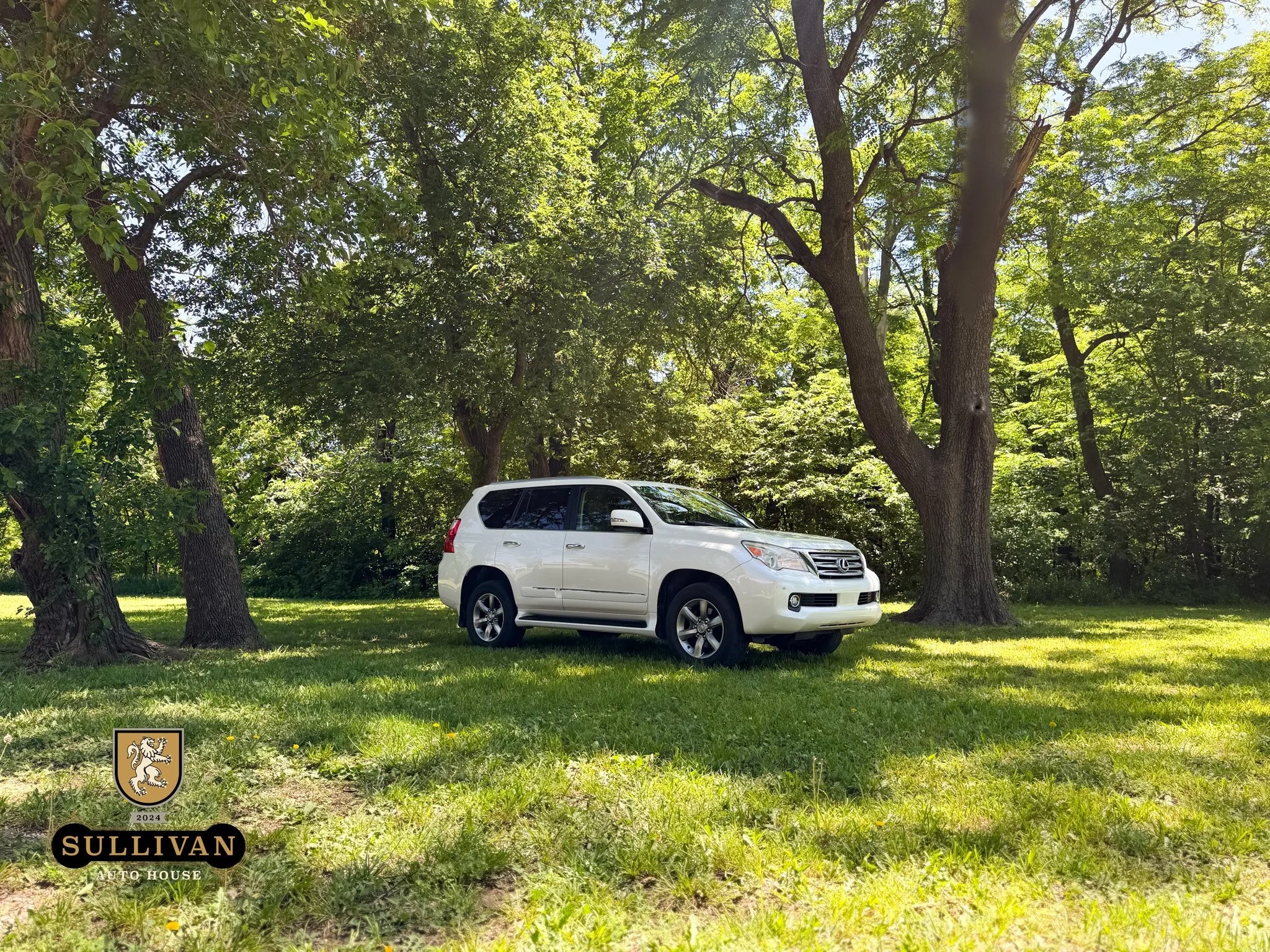 2012 Lexus GX 460