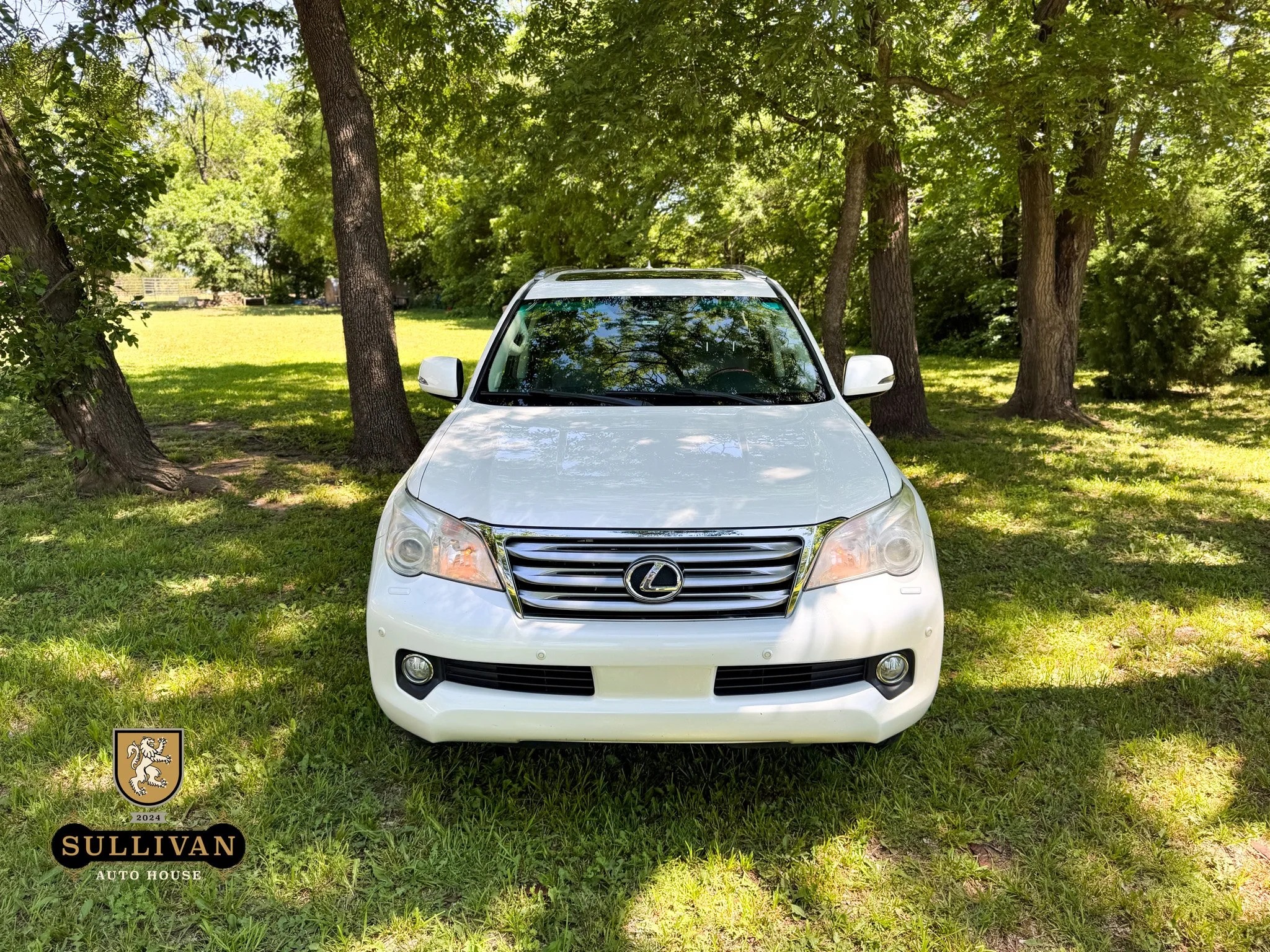 2012 Lexus GX 460 - 4