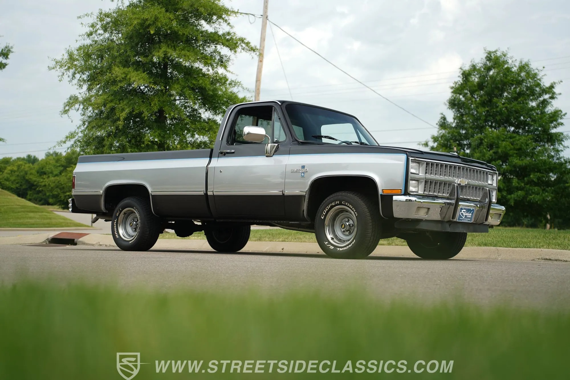 1981 Chevrolet C10 Silverado