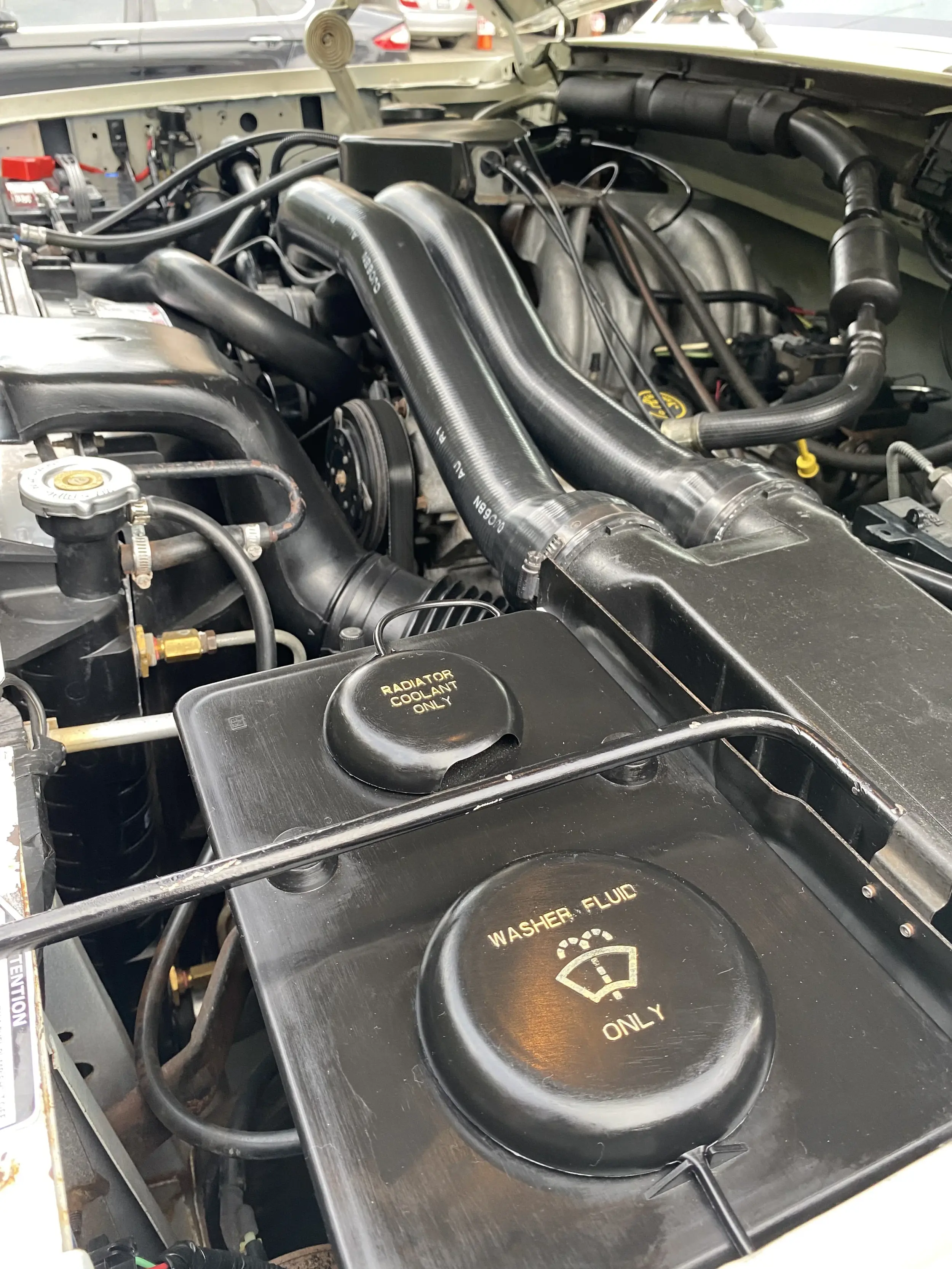 1991 Ford F-150 XL