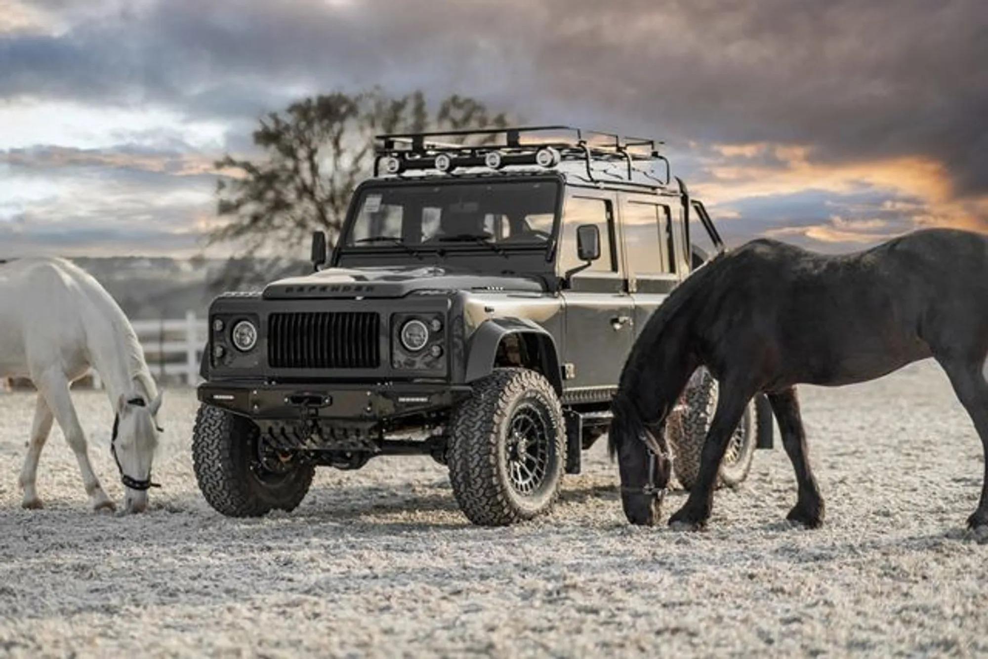1991 Monarch Land Rover Defender 110 Pick Up EV - 2