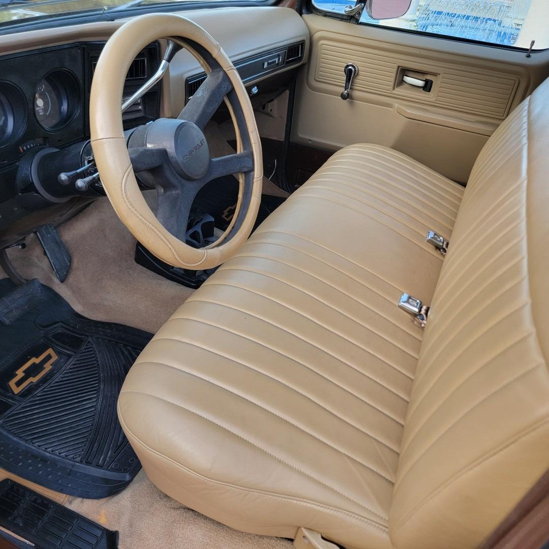 1978 Chevy C10 Bonanza - 5