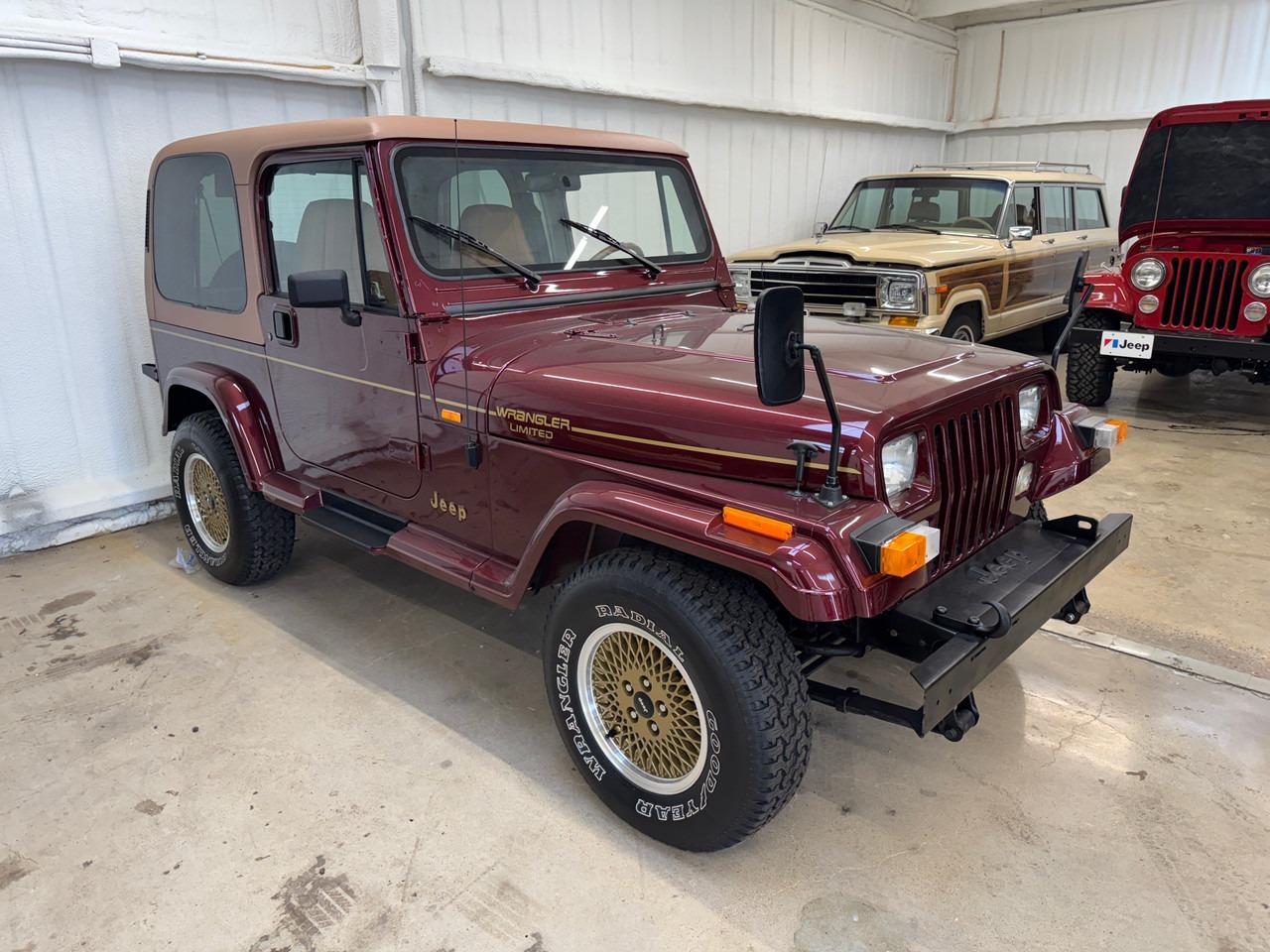 1993 Jeep Wrangler YJ Limited - 2