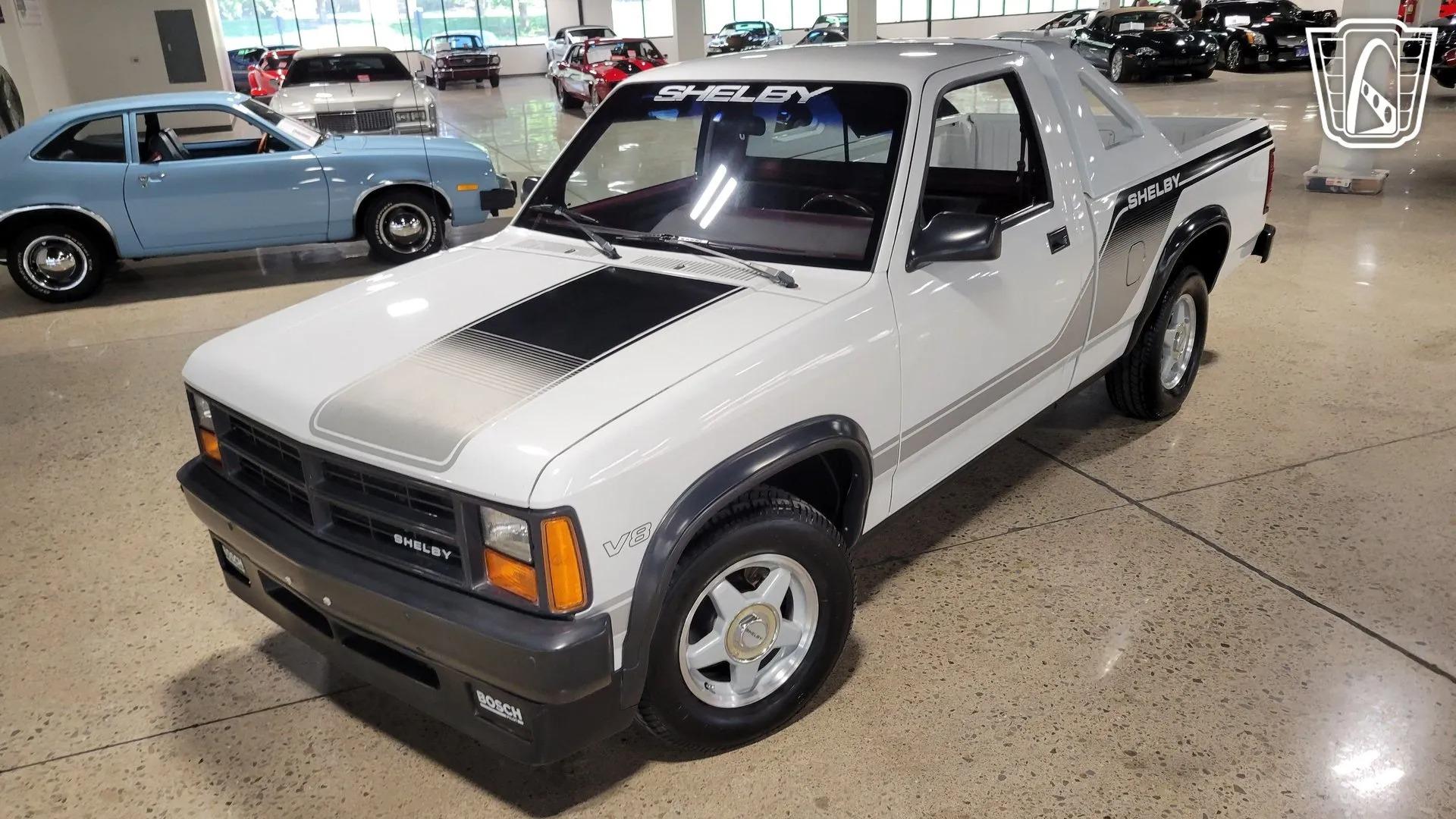 1989 Dodge Dakota Shelby