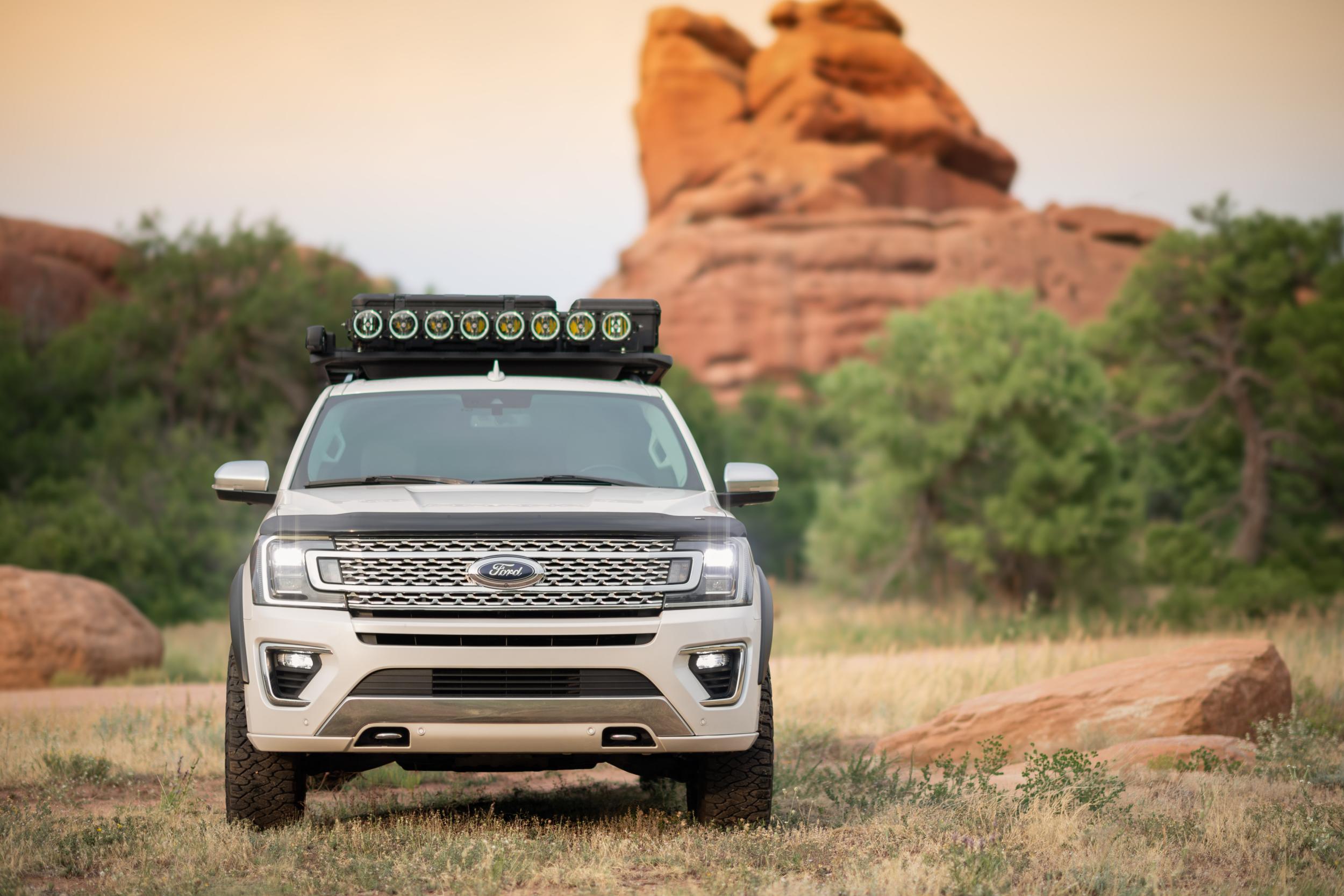 2018 Ford Expedition MAX Platinum - 3