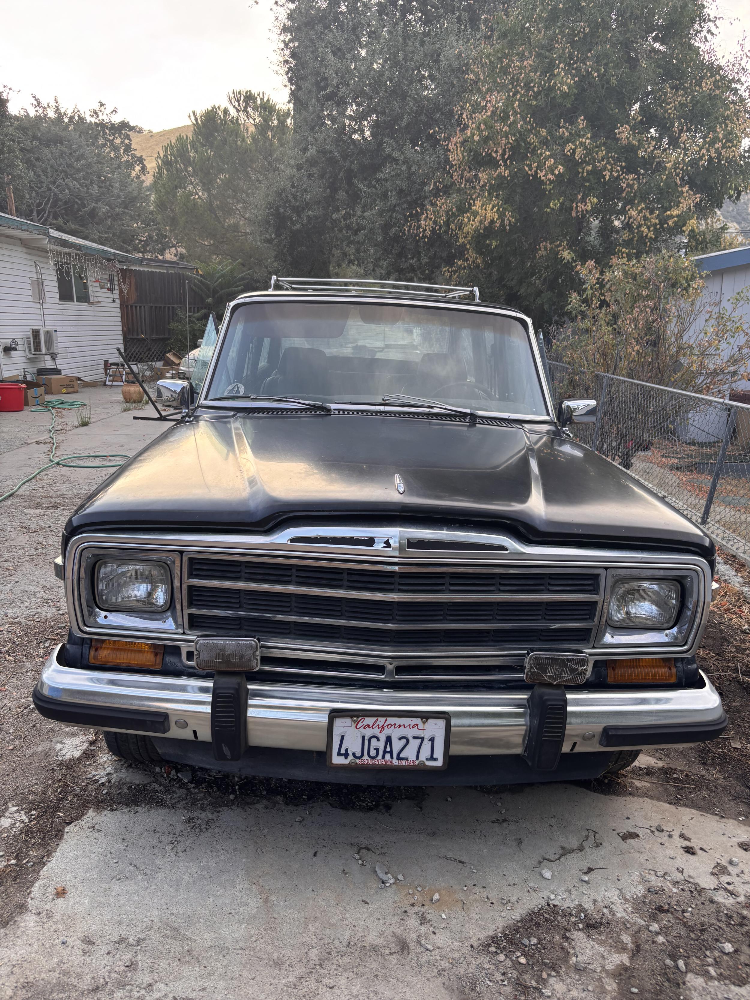 1989 Jeep Grand Wagoneer - 2