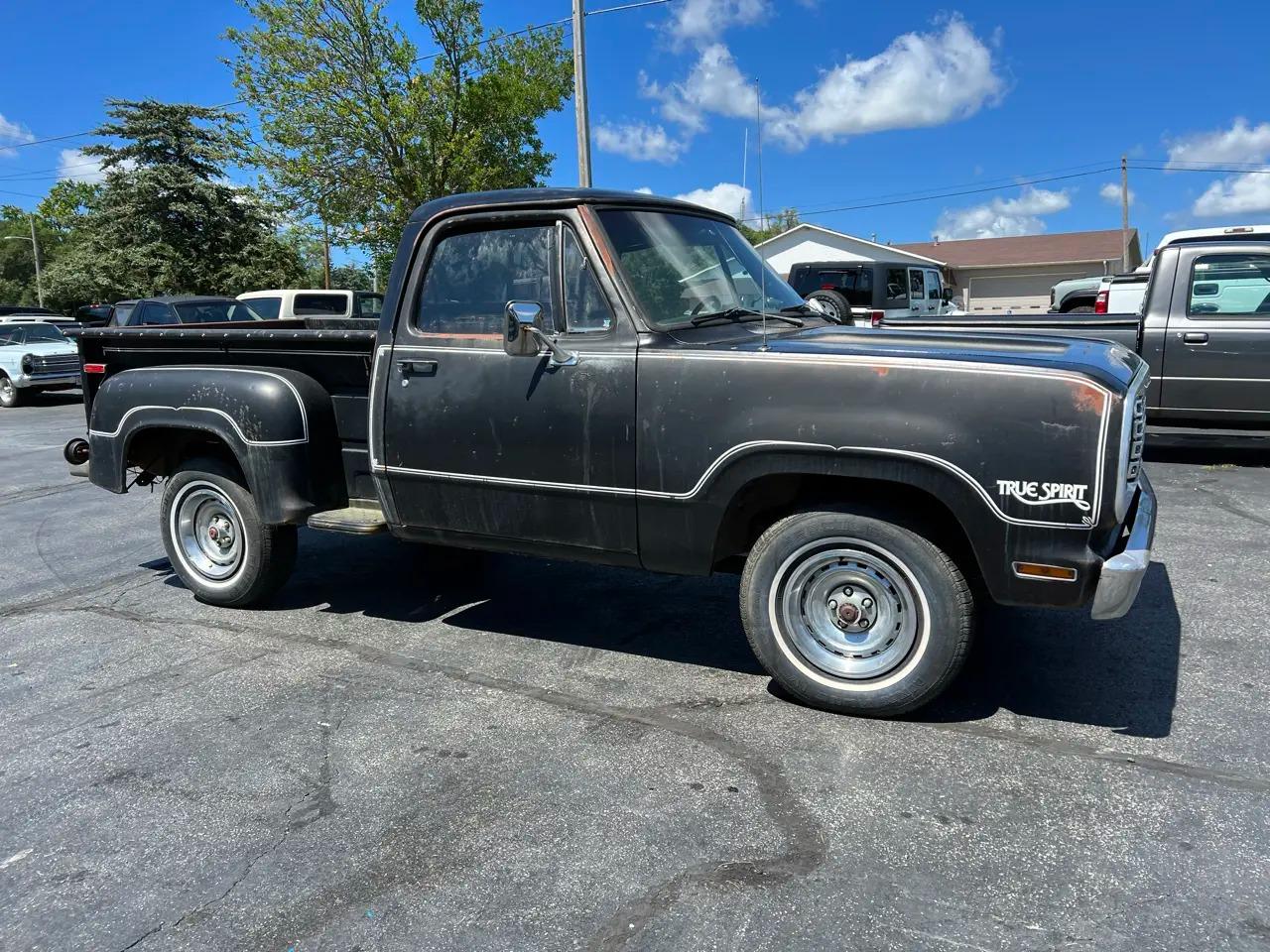 1977 Dodge D100 True Spirit Stepside - 2