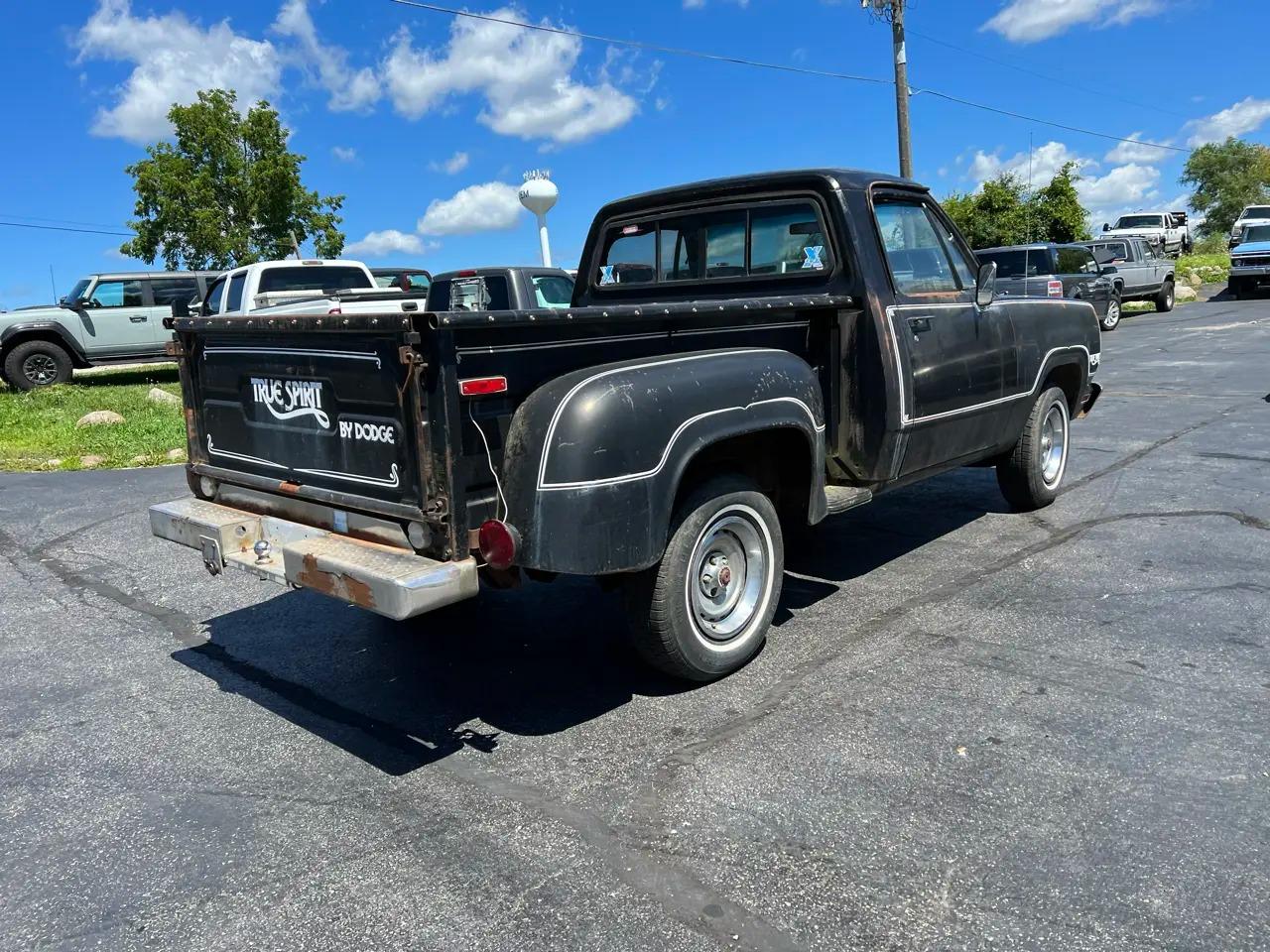 1977 Dodge D100 True Spirit Stepside - 3