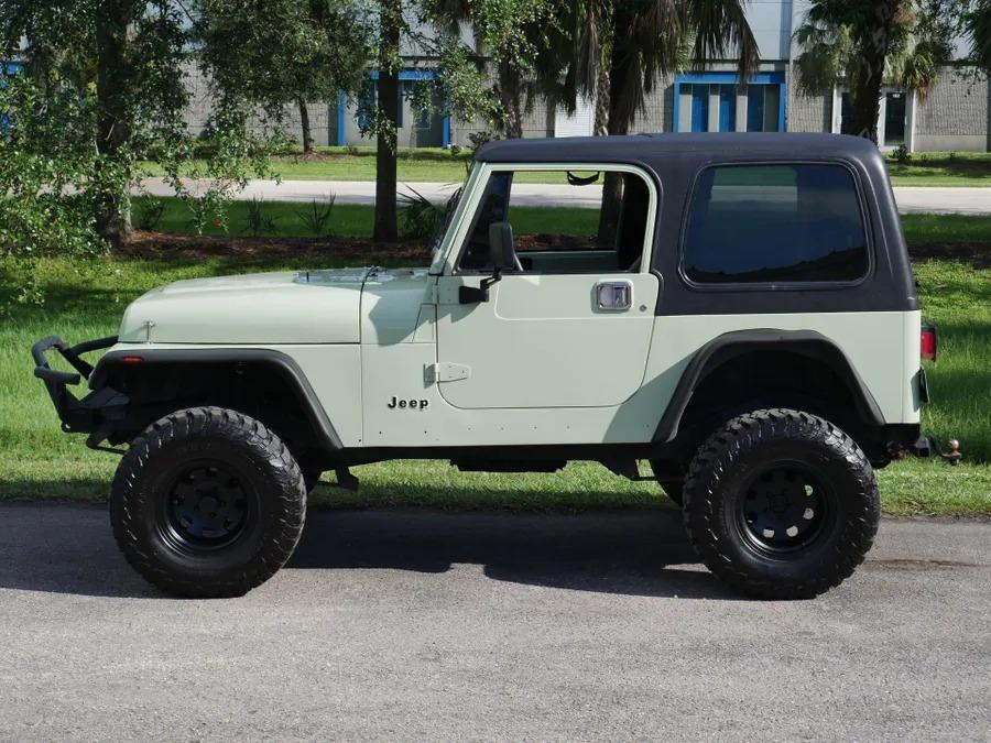 LS-Powered 1995 Jeep Wrangler 4x4 - 2