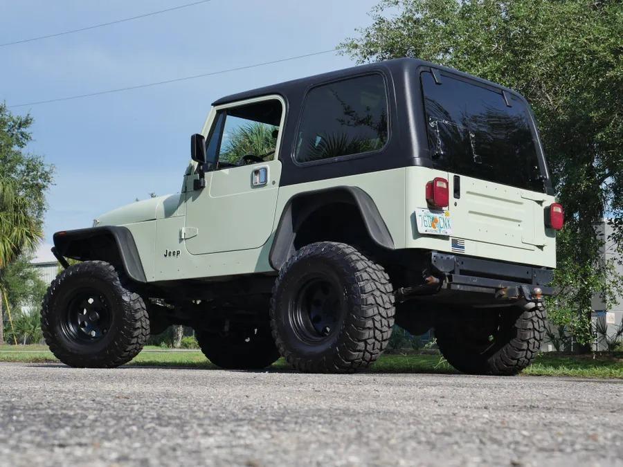 LS-Powered 1995 Jeep Wrangler 4x4 - 3