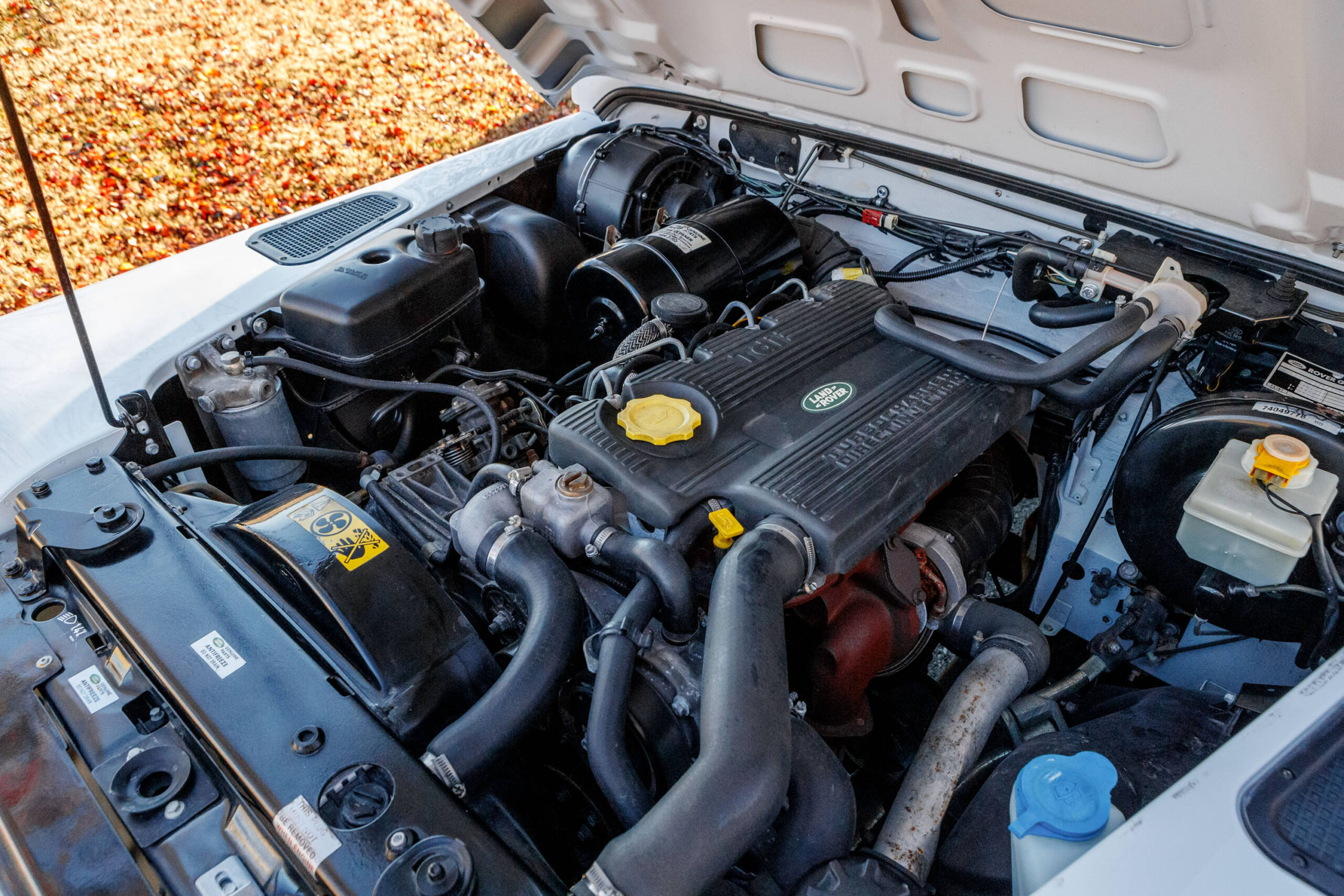 1994 Land Rover Defender 90 - 2