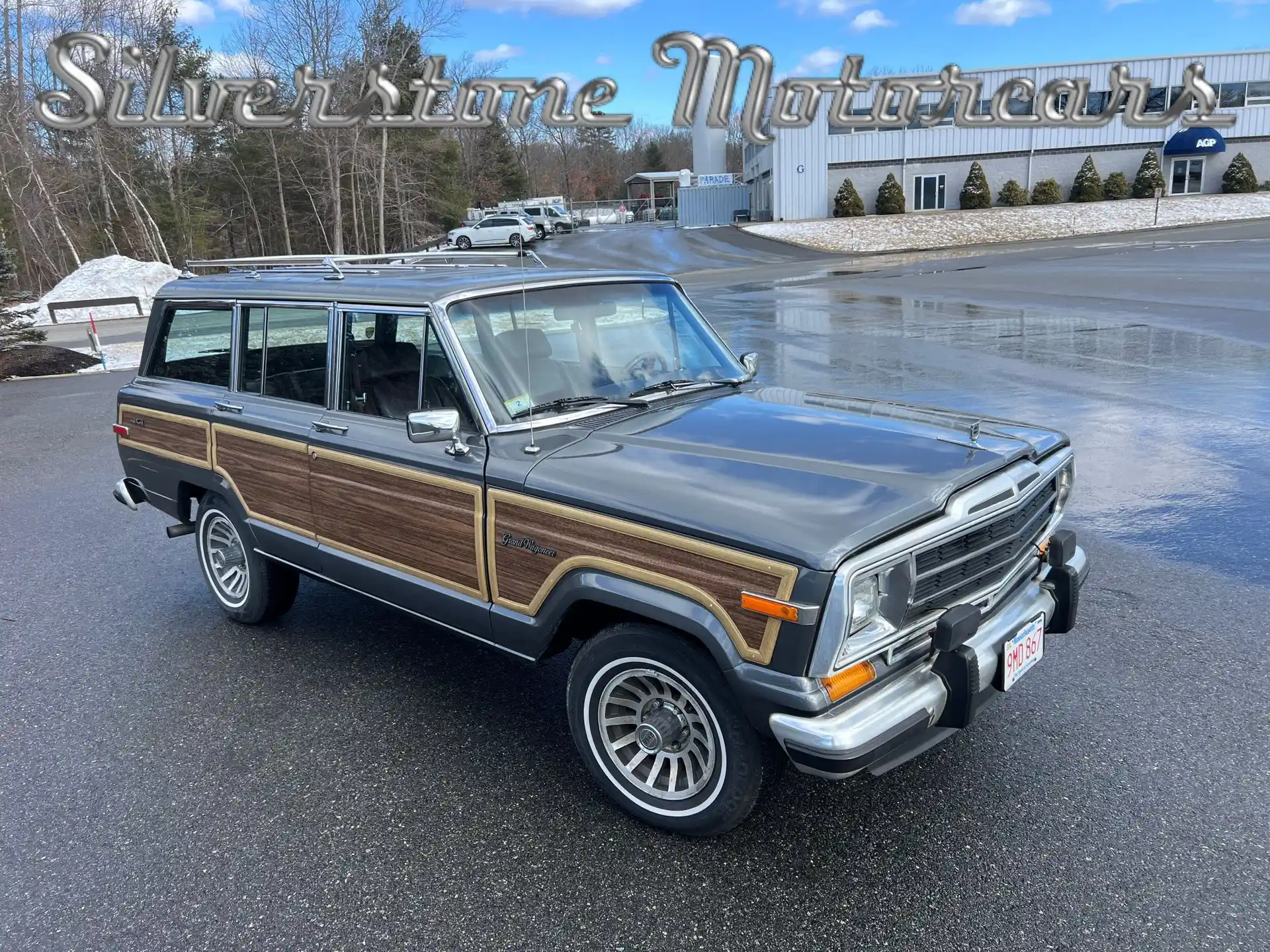 1989 Jeep Grand Wagoneer
