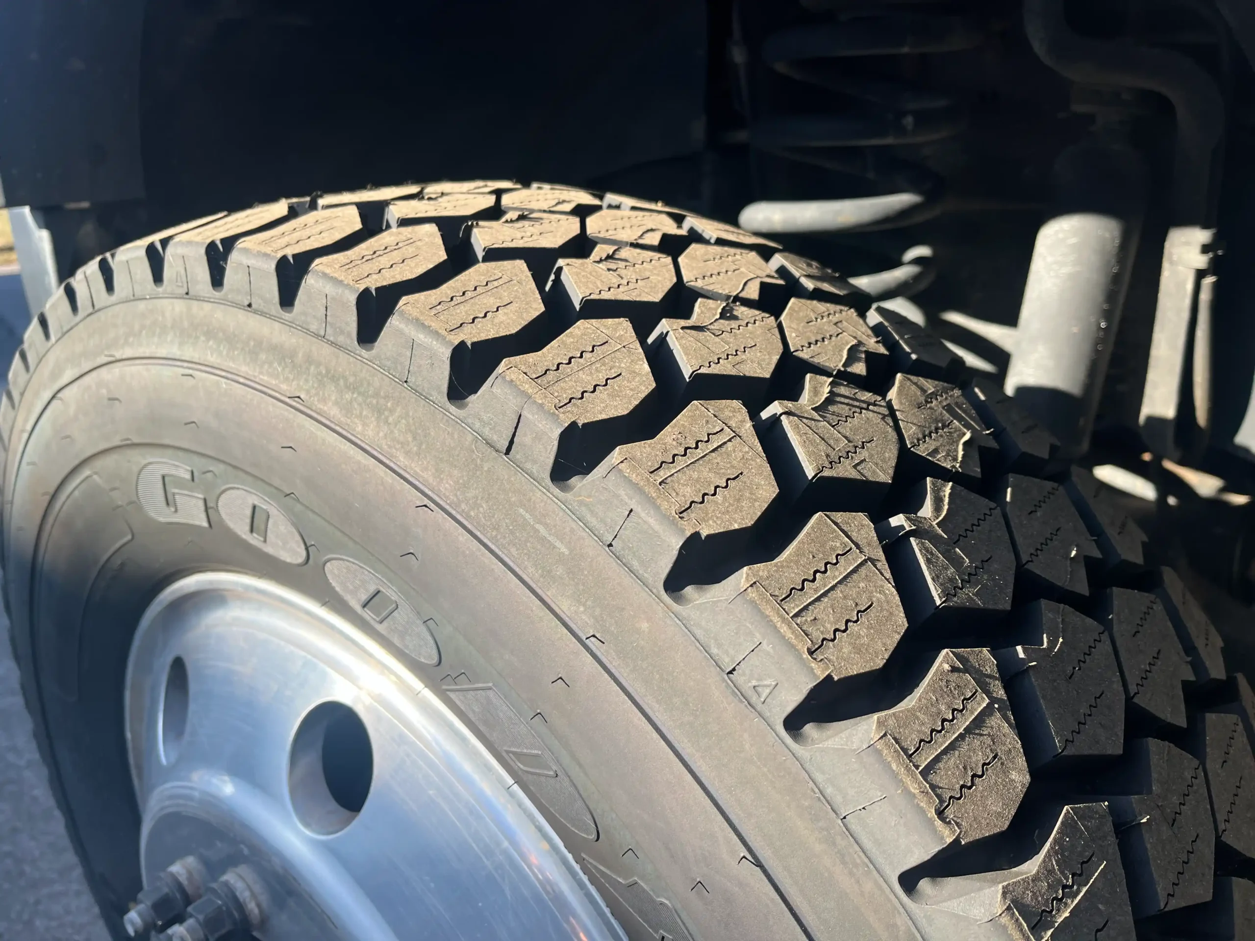 2019 Provan Bengal Tiger