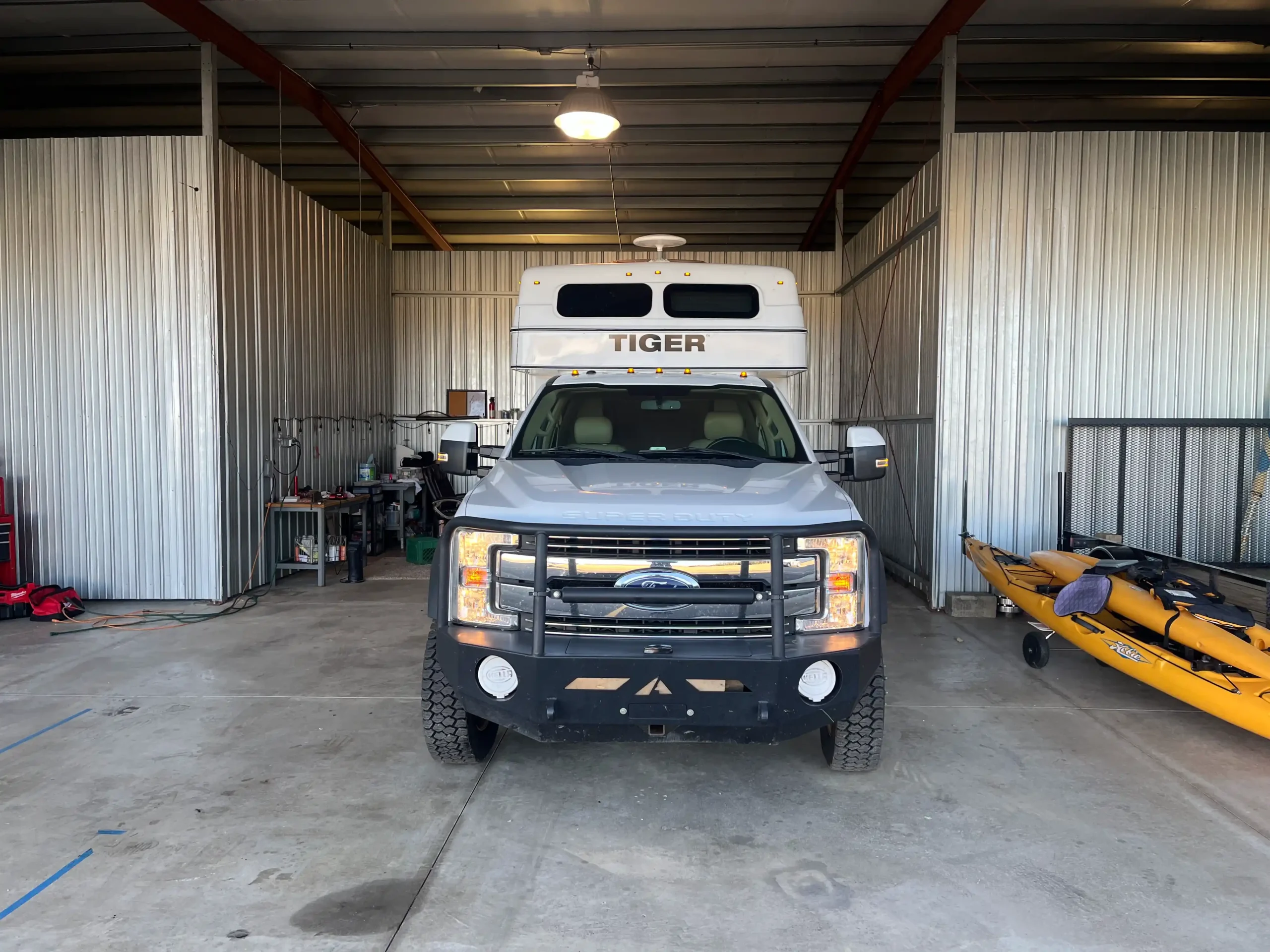 2019 Provan Bengal Tiger - 3