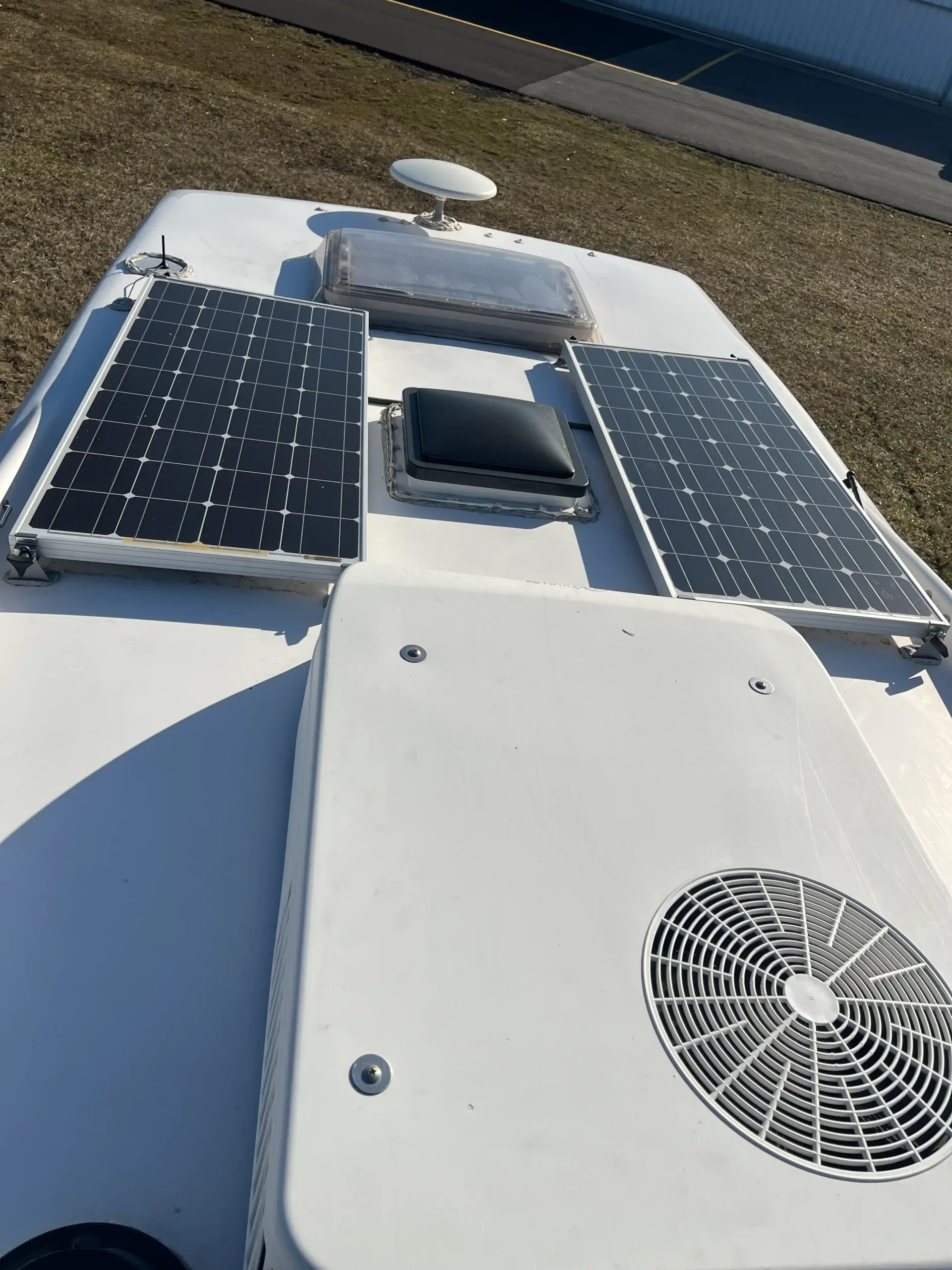 2019 Provan Bengal Tiger - 4