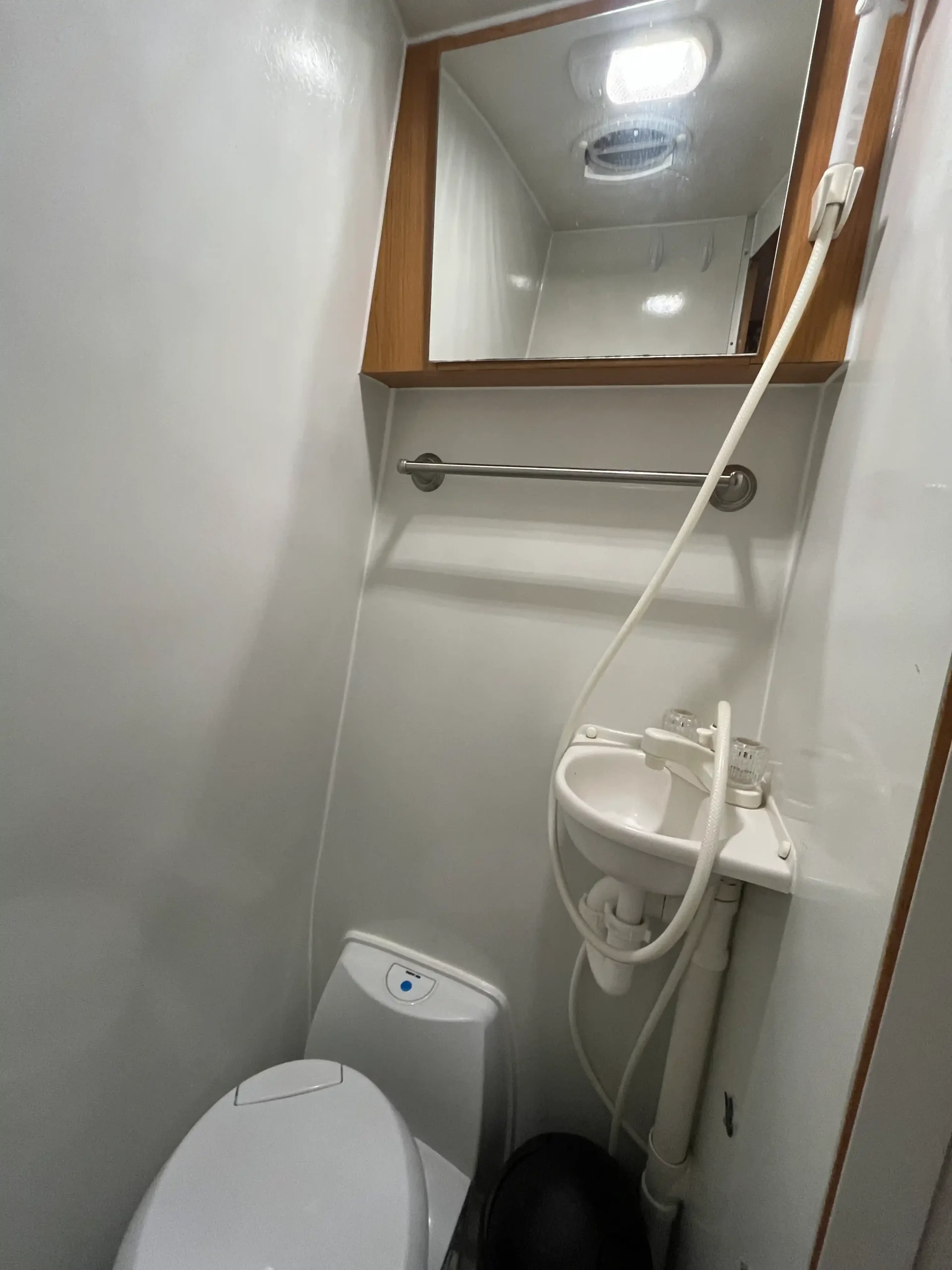 2019 Provan Bengal Tiger