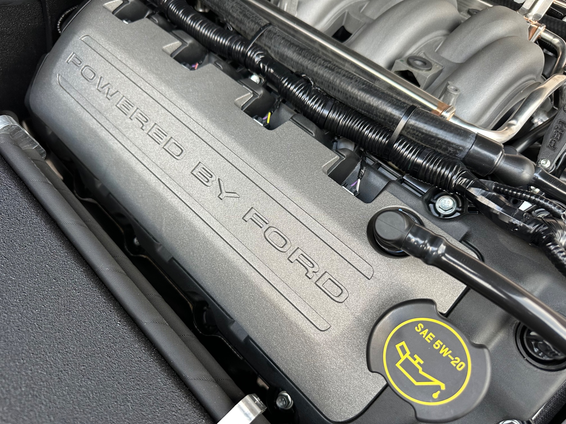 Velocity Signature Series 1975 Ford Bronco - 4