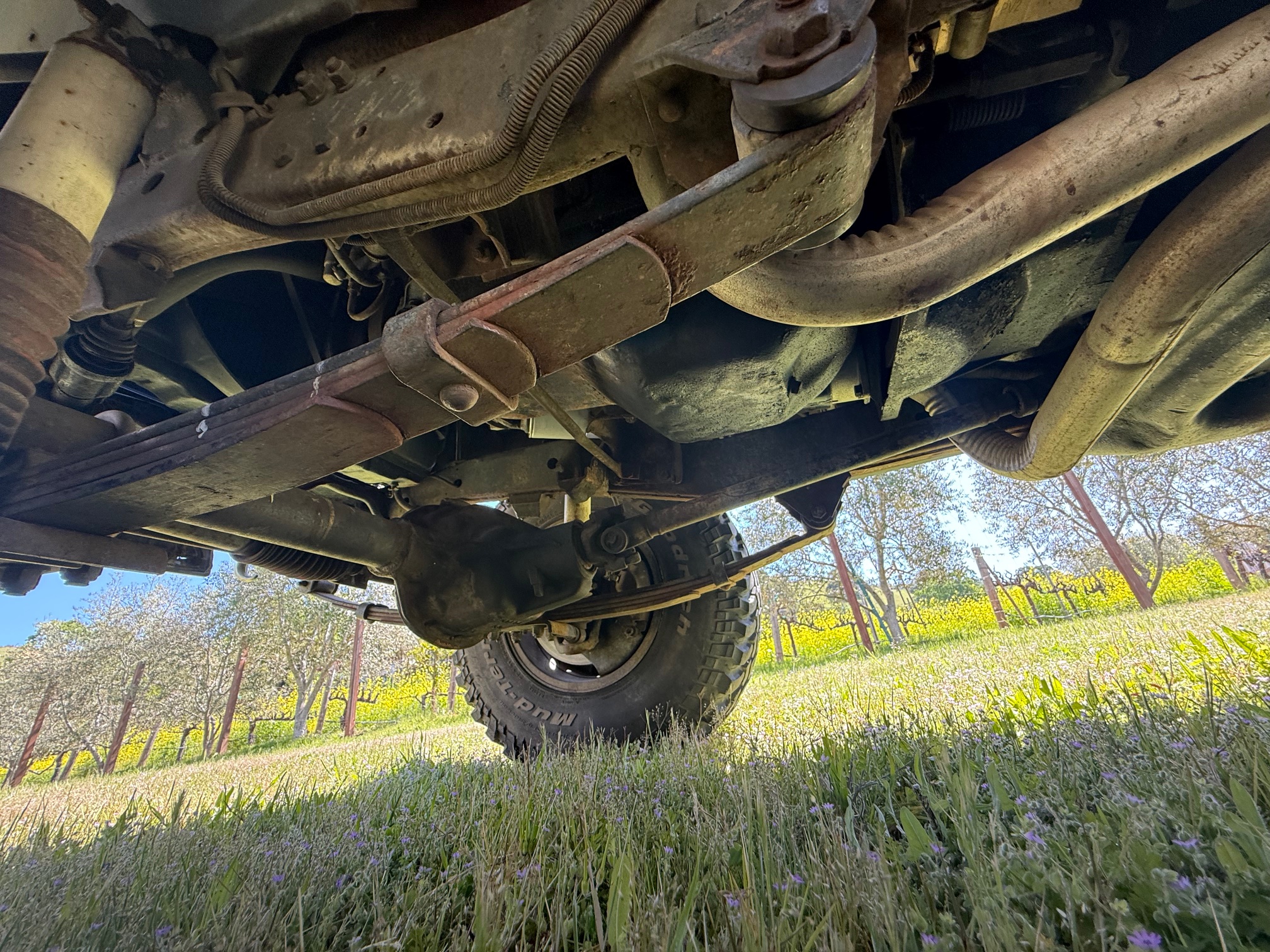 Modified 1976 Jeep CJ-5 Levi's Edition