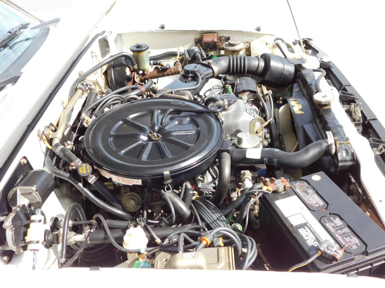 1982 Toyota Pickup SR5