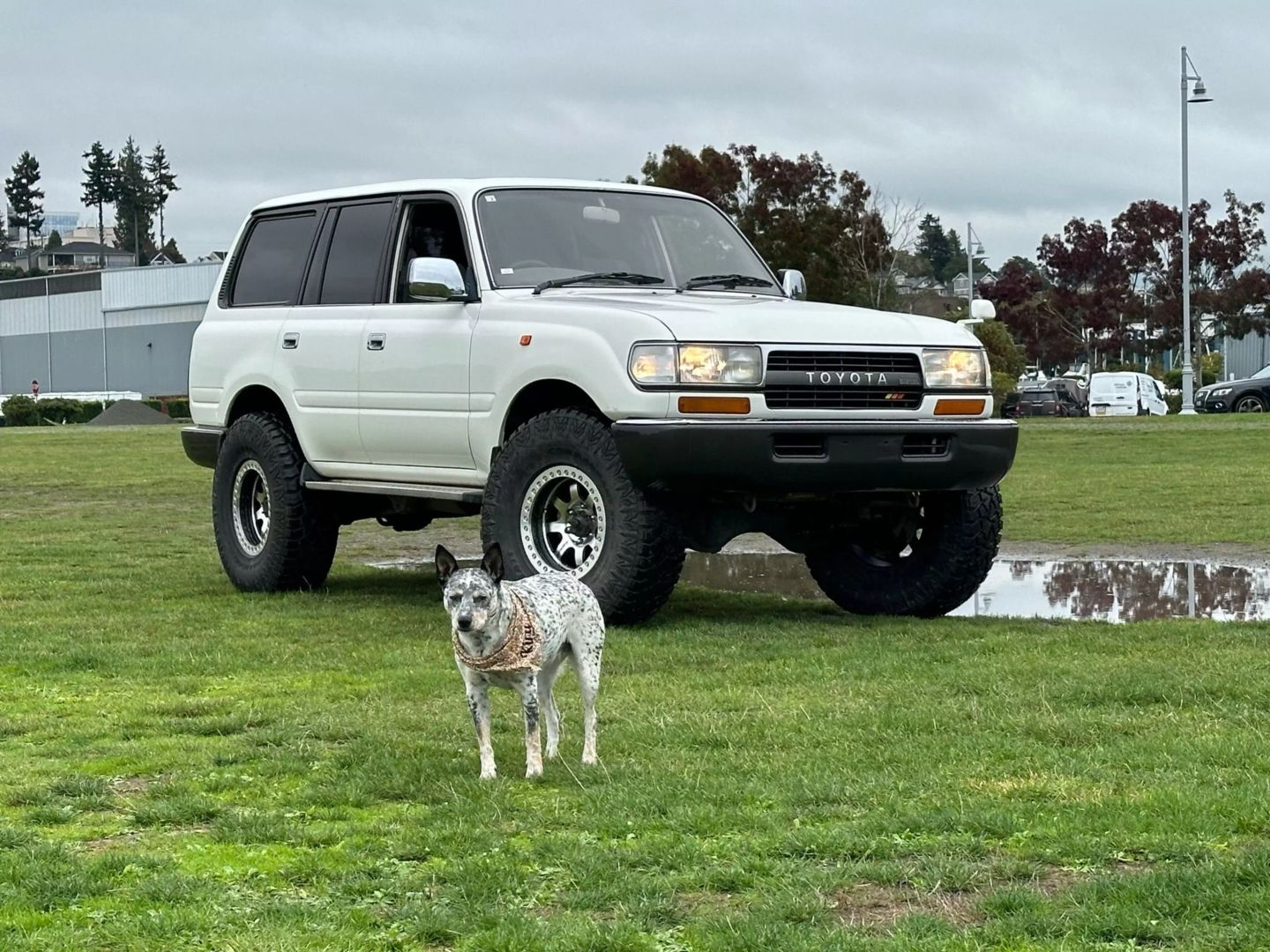 1993 Toyota Land Cruiser HZJ81 - 4