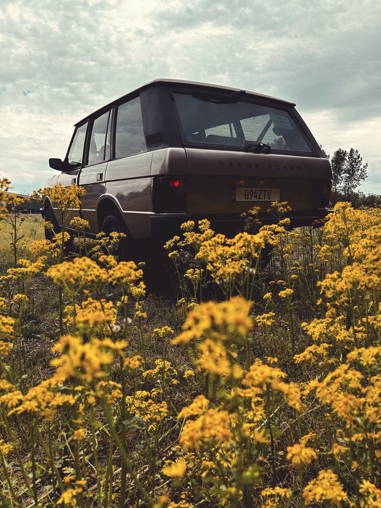 Sale Pending: 1995 Land Rover Range Rover Classic - 2