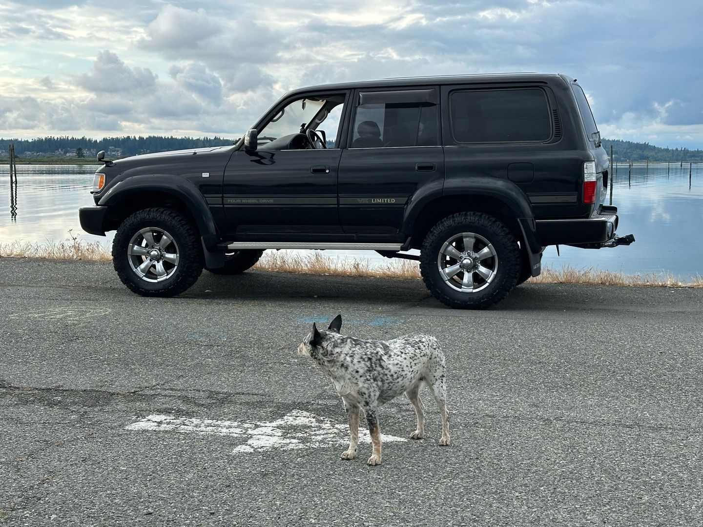 1992 Toyota Land Cruiser 80 Series